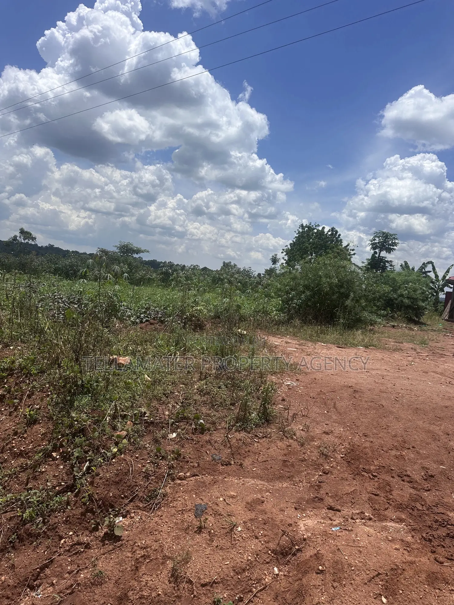 13 Decimals With Ready Title at Nakifuma-Kakinzi for Sale at Only 20m in Kyampisi