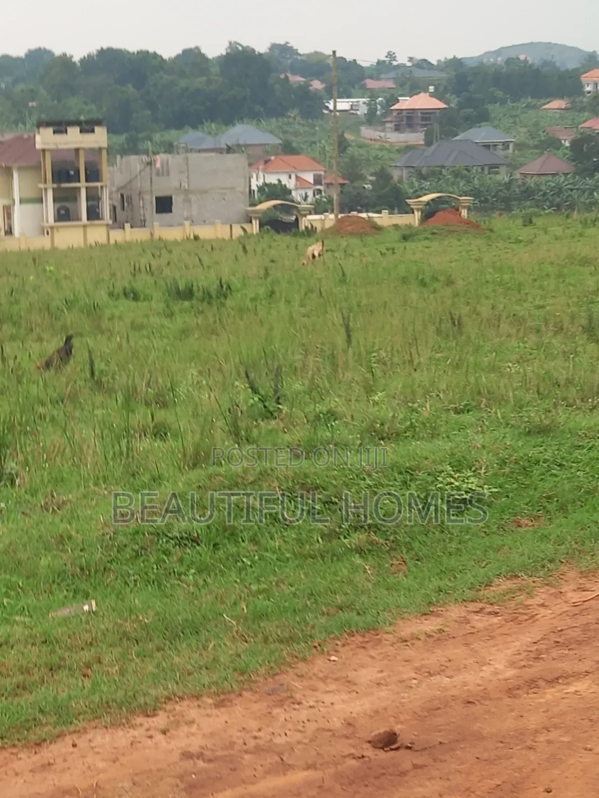 Nakwero Super Plots on Sell in Kira