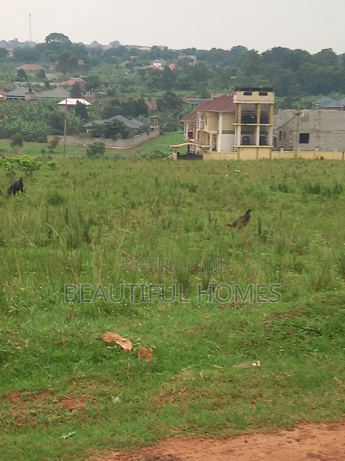 Residential Plots in Nakwero on Sale in Kira