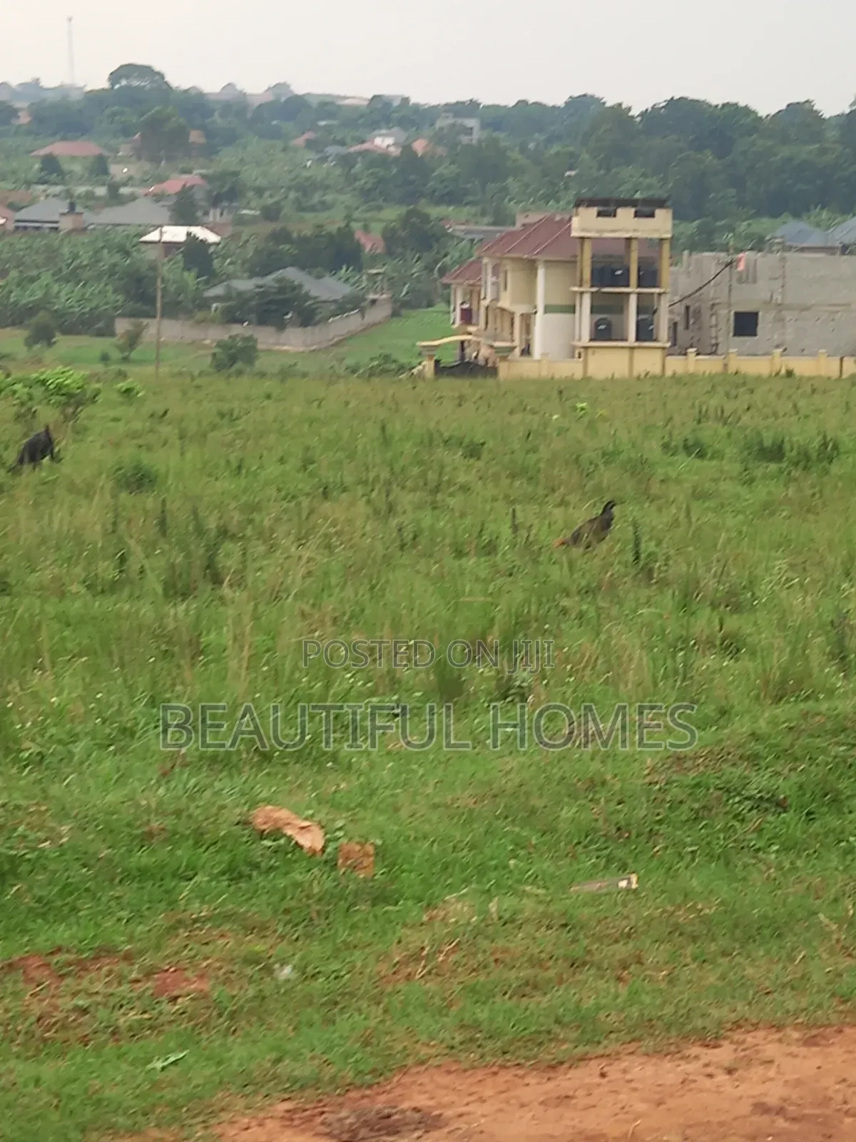 Nakwero Quicksale Plots in Kira