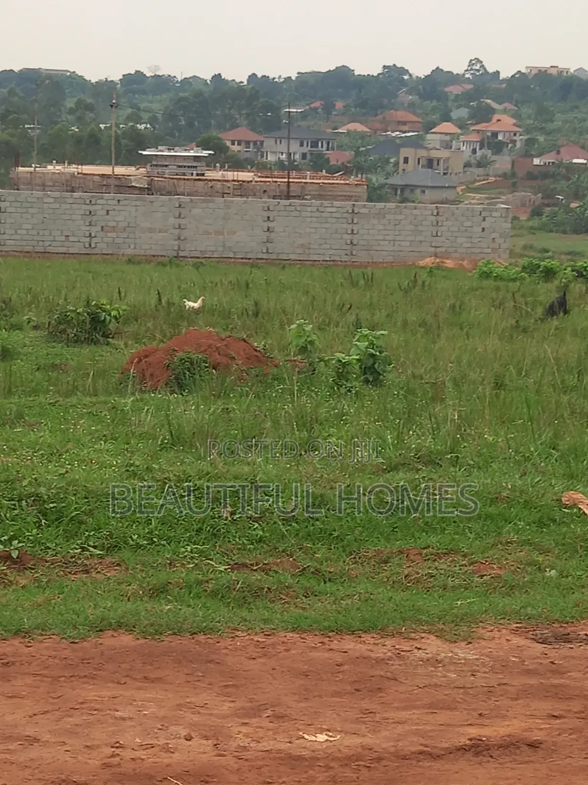 Nakwero Quicksale Plots in Kira