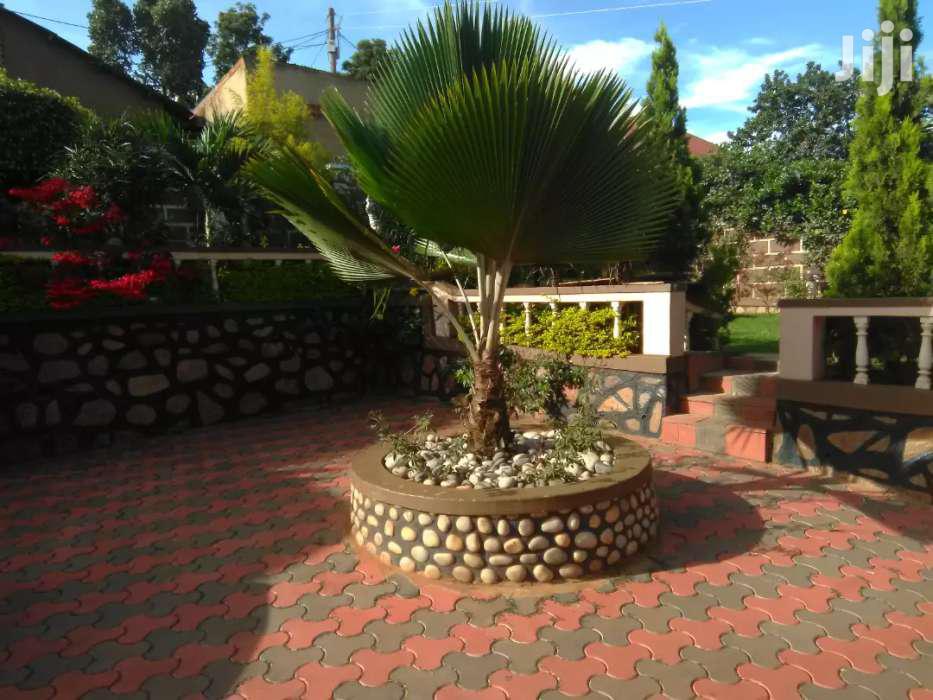 Fully Furnished Two Bedroom Apartment In Makindye For Rent in Kampala