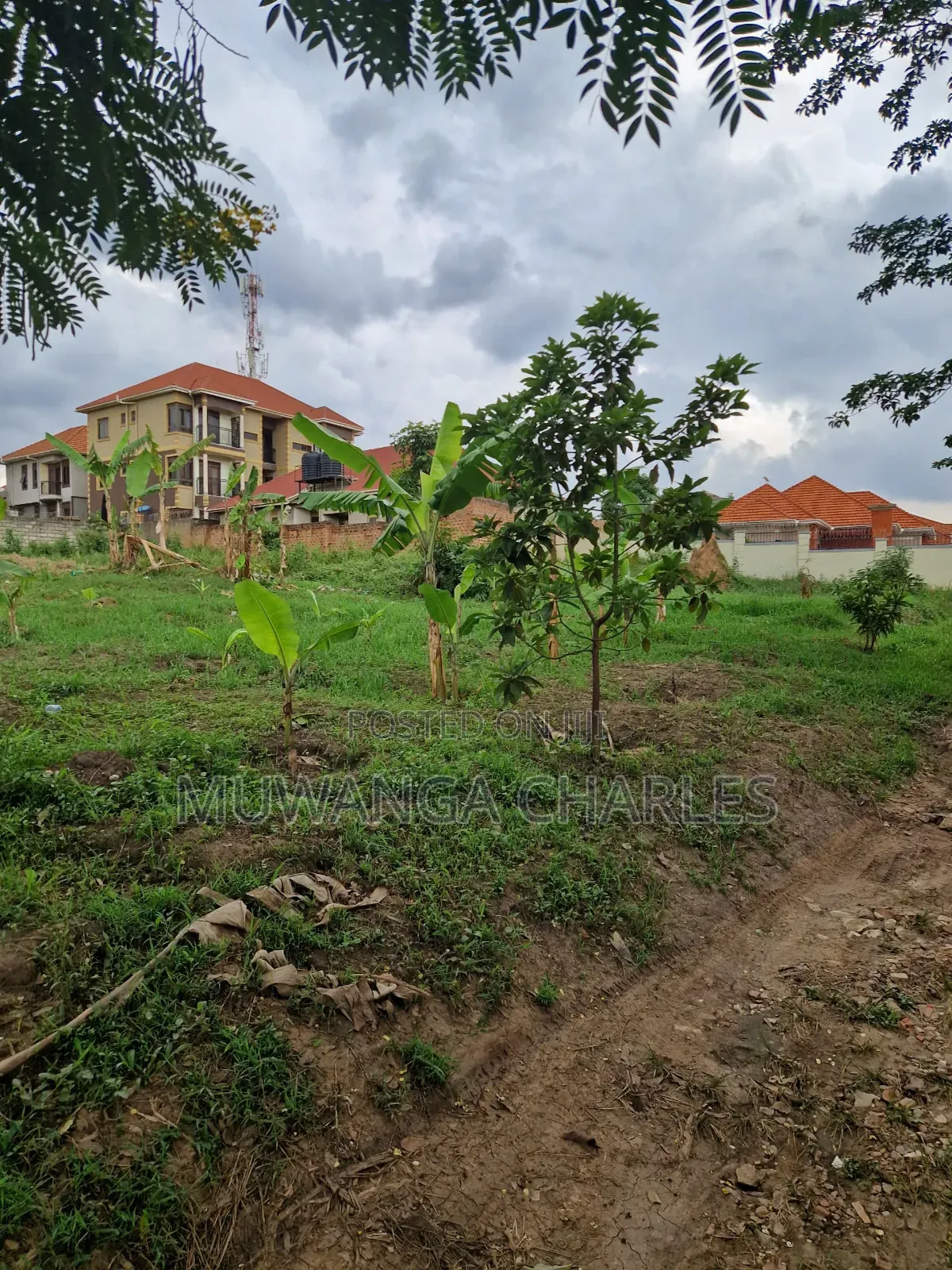 Plots on Sale in Kira in Central Division