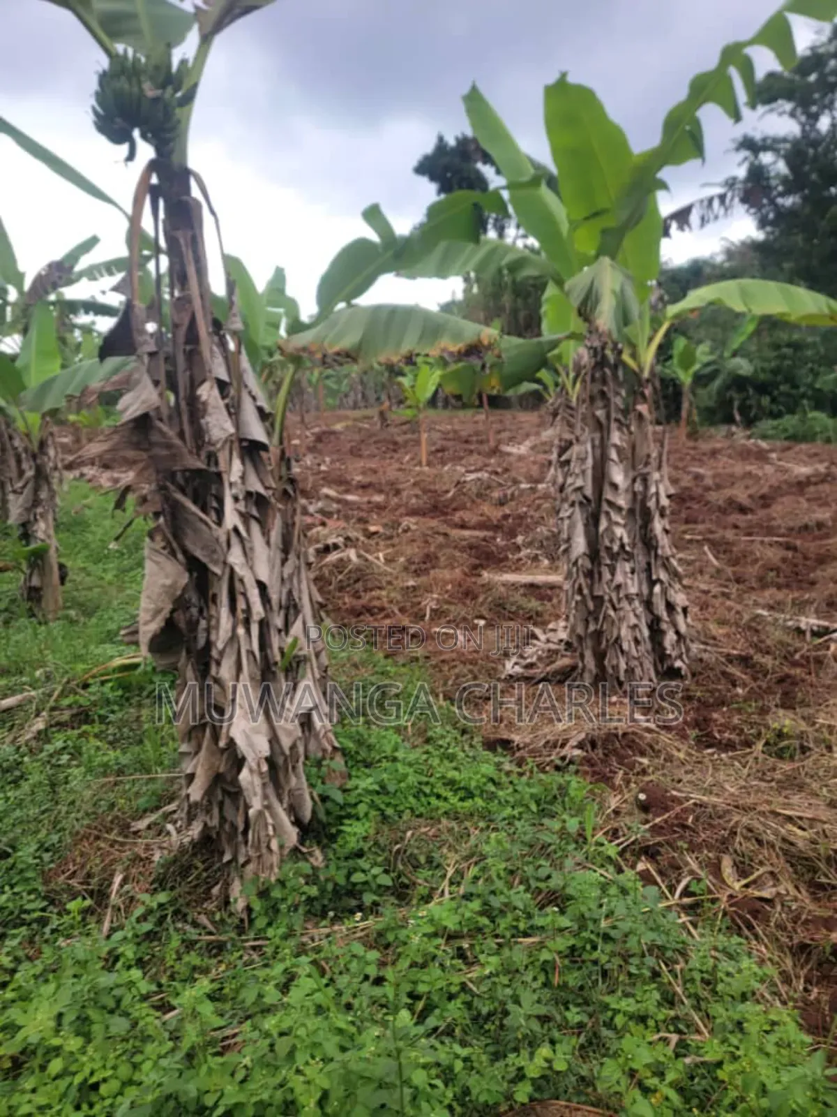 4acres of Land on Sale in Kalule Bombo Road in Luwero / Luwero