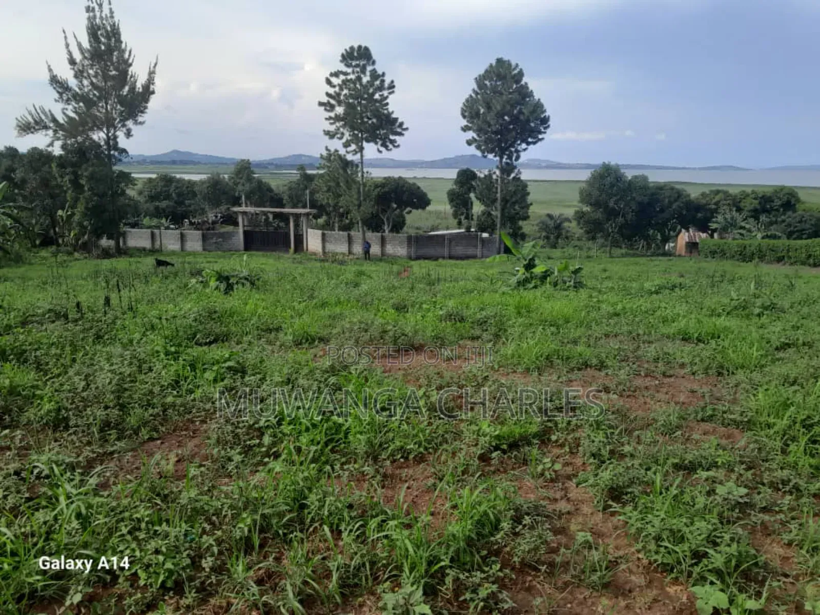Plot on Sale in Entebbe in Wakiso / Wakiso