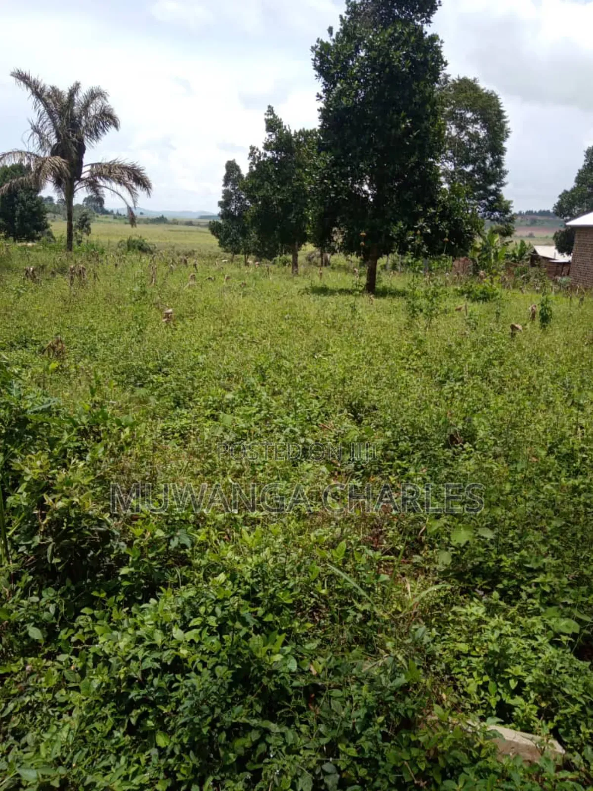 Plot on Sale in Busika Vumba in Division A