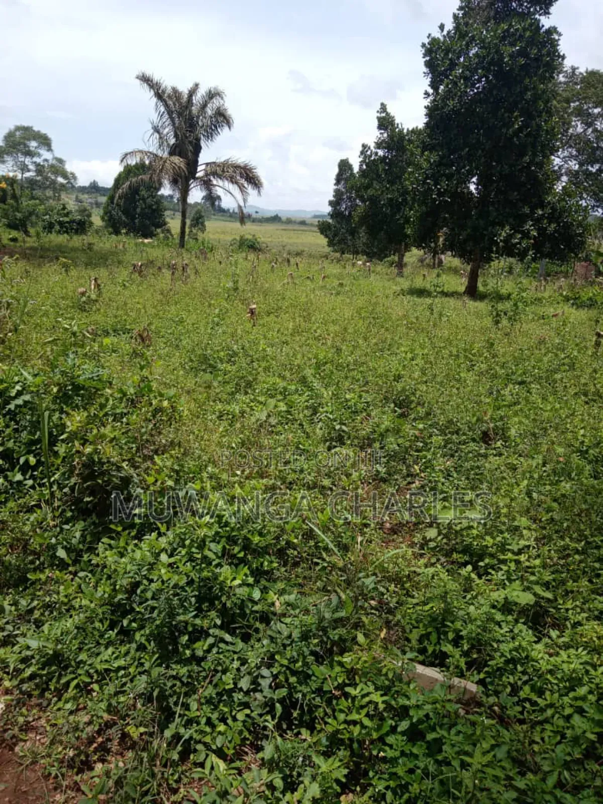 Plot on Sale in Busika Vumba in Division A