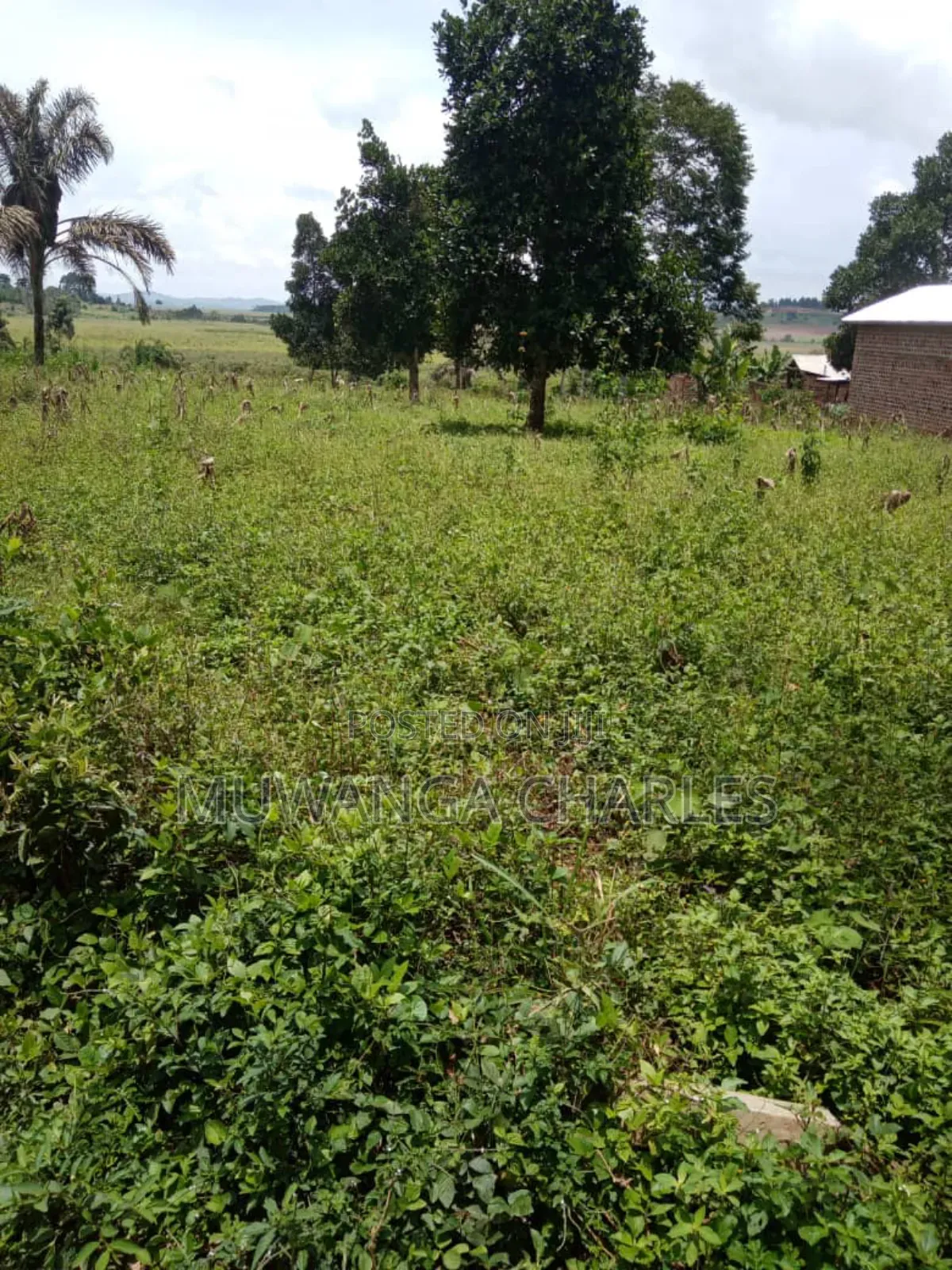 Plot on Sale in Busika Vumba in Division A