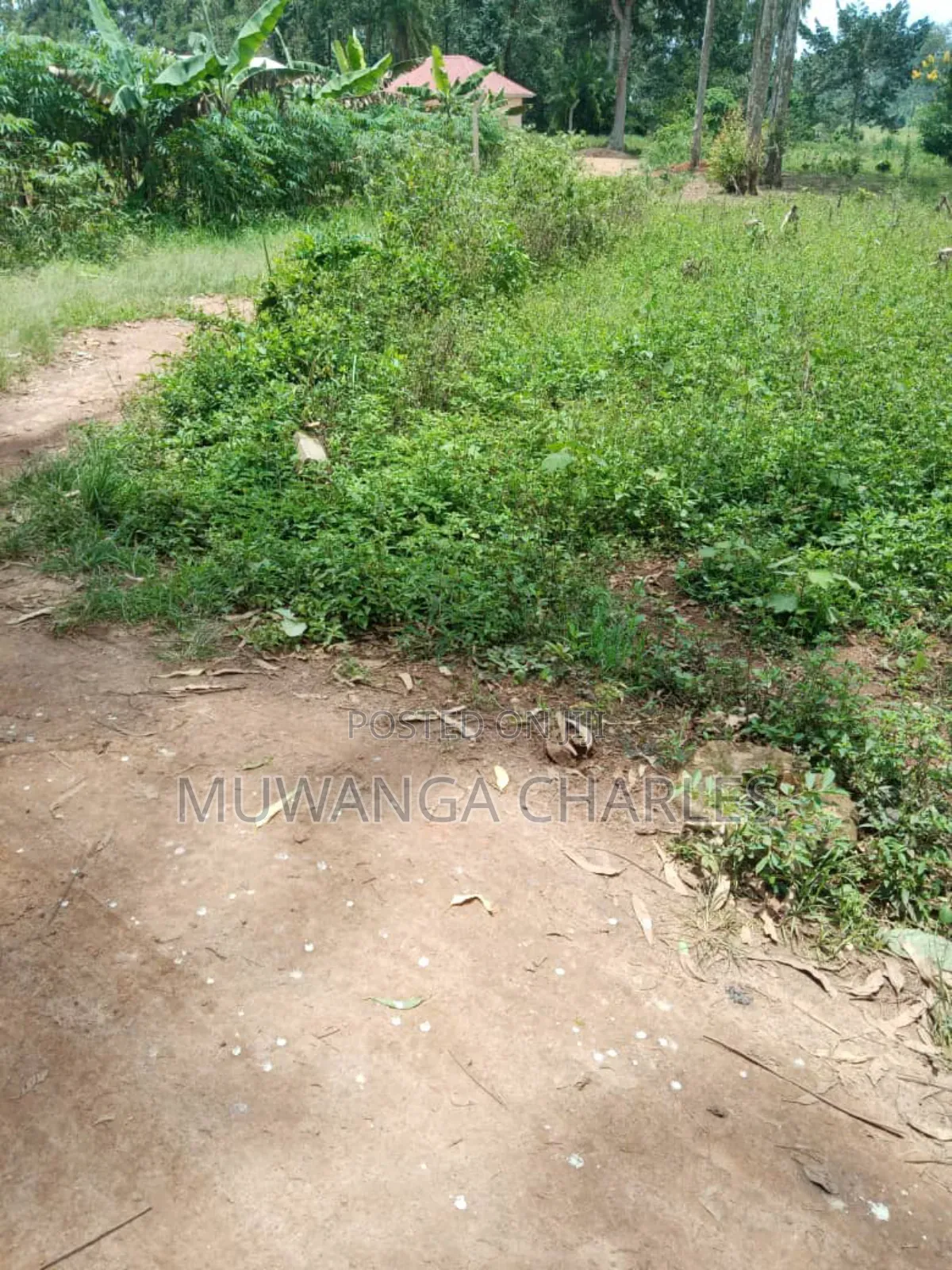 Plot on Sale in Busika Vumba in Division A