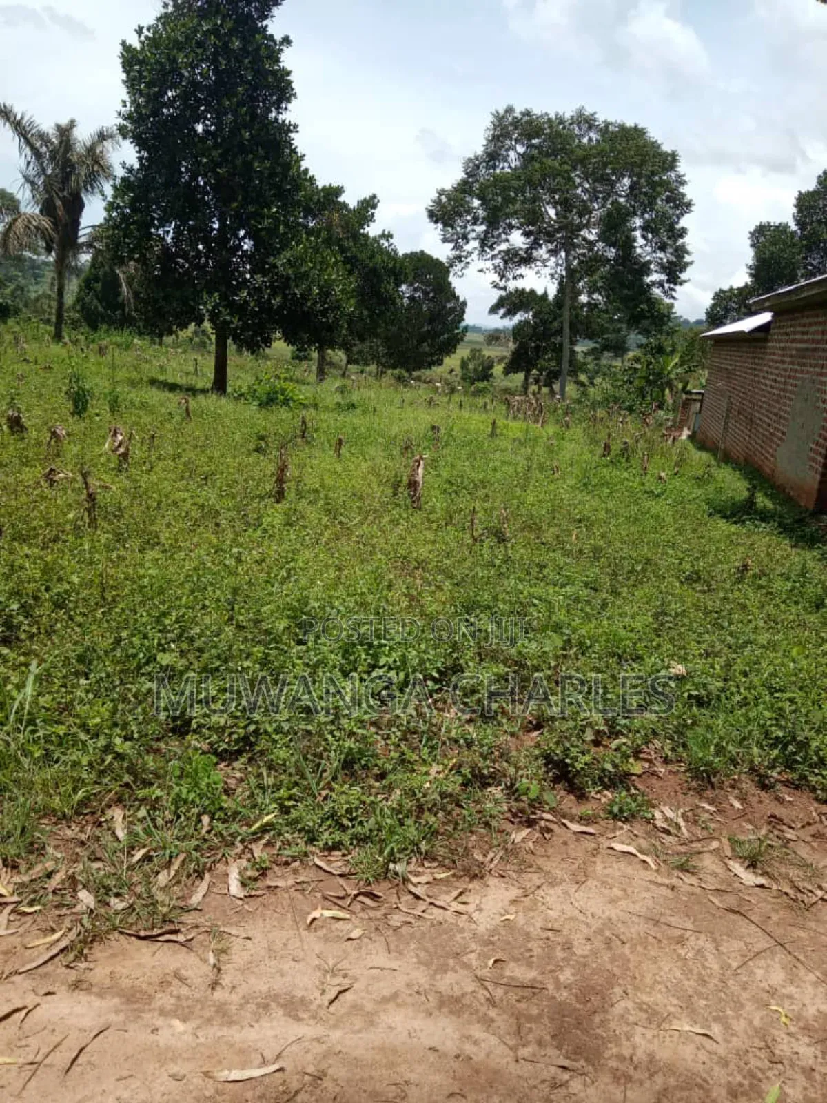 Plot on Sale in Busika Vumba in Division A