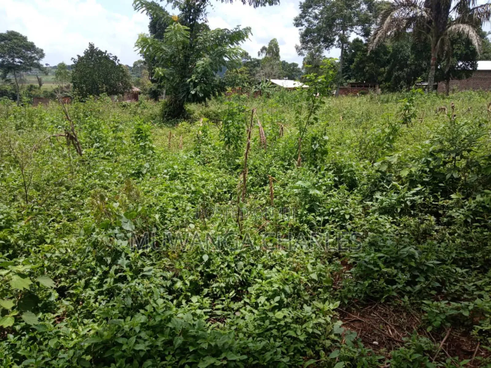 Plots on Sale in Matugga Kavule in Gombe