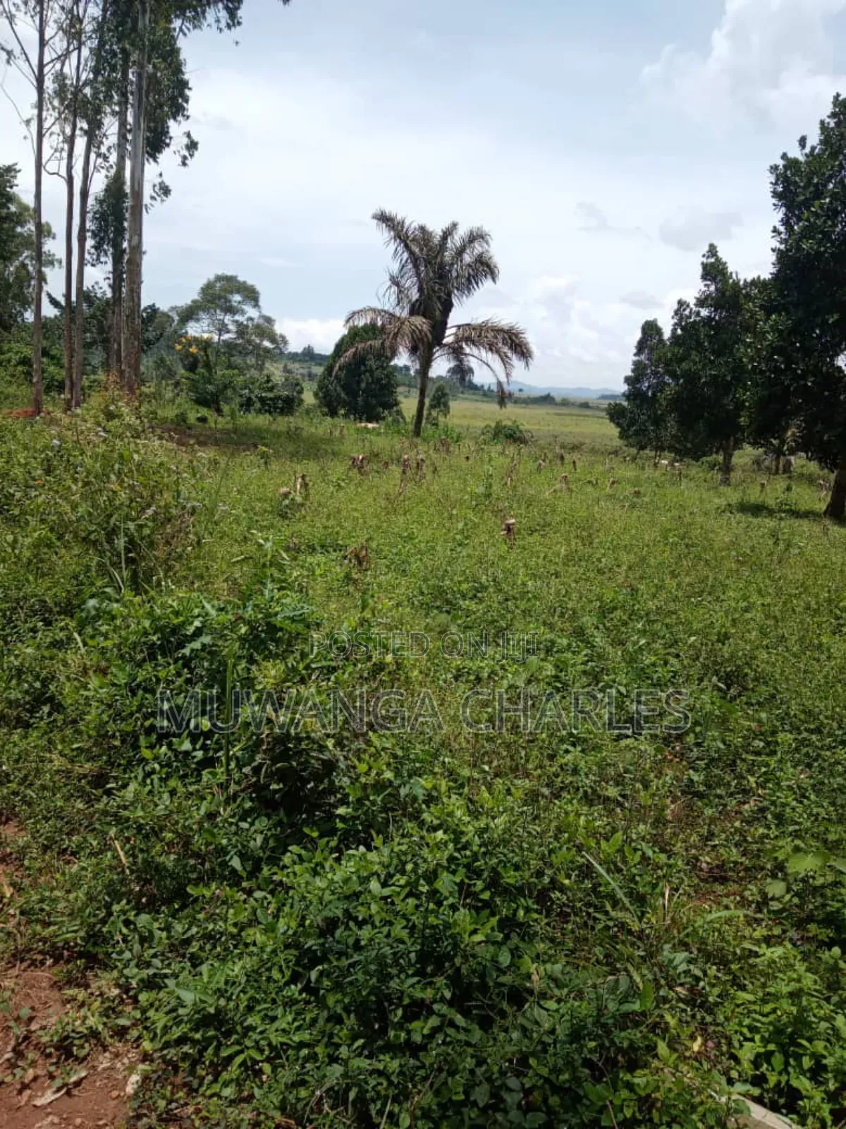 Plots on Sale in Matugga Kavule in Gombe
