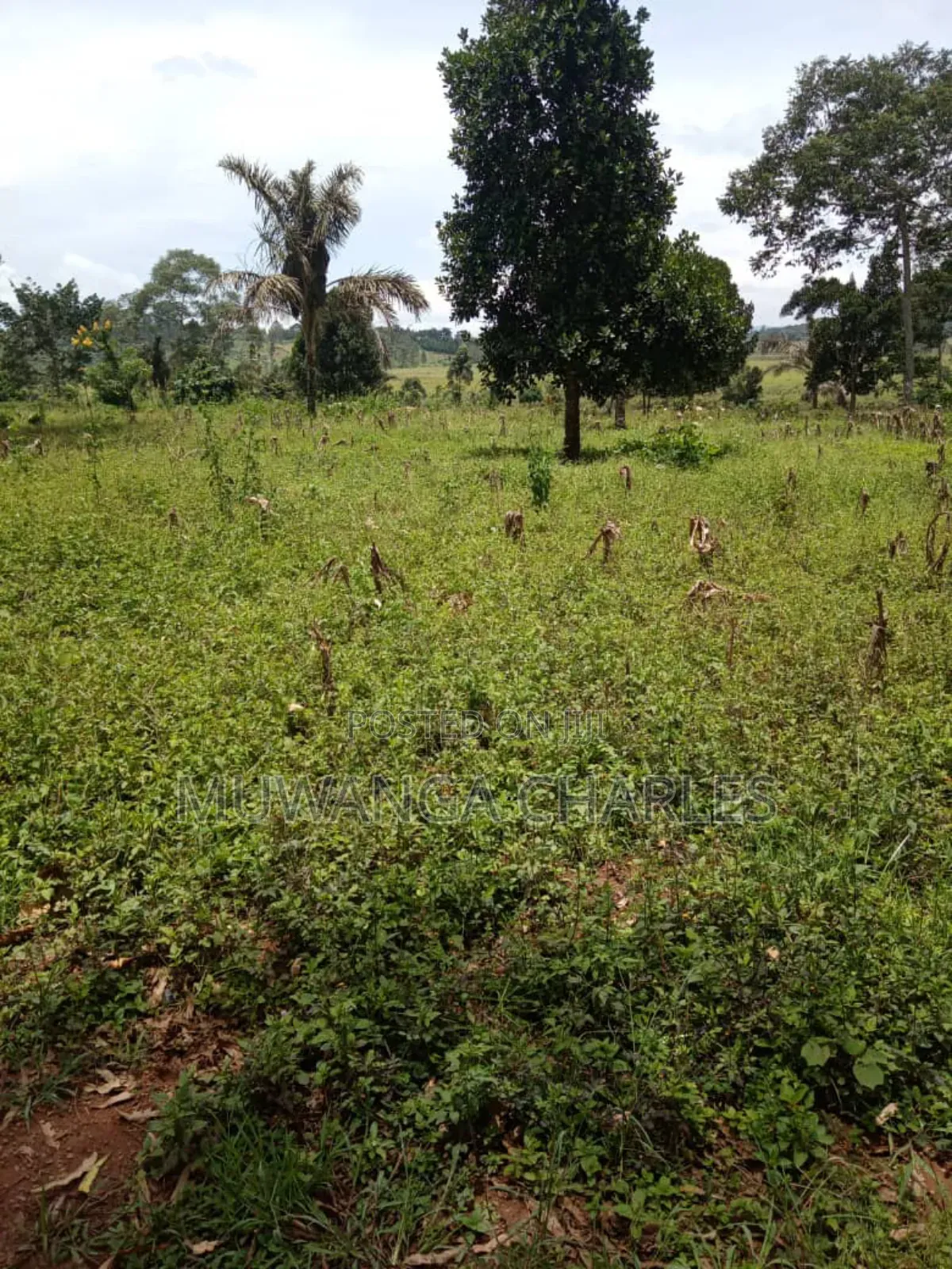 Plots on Sale in Matugga Kavule in Gombe