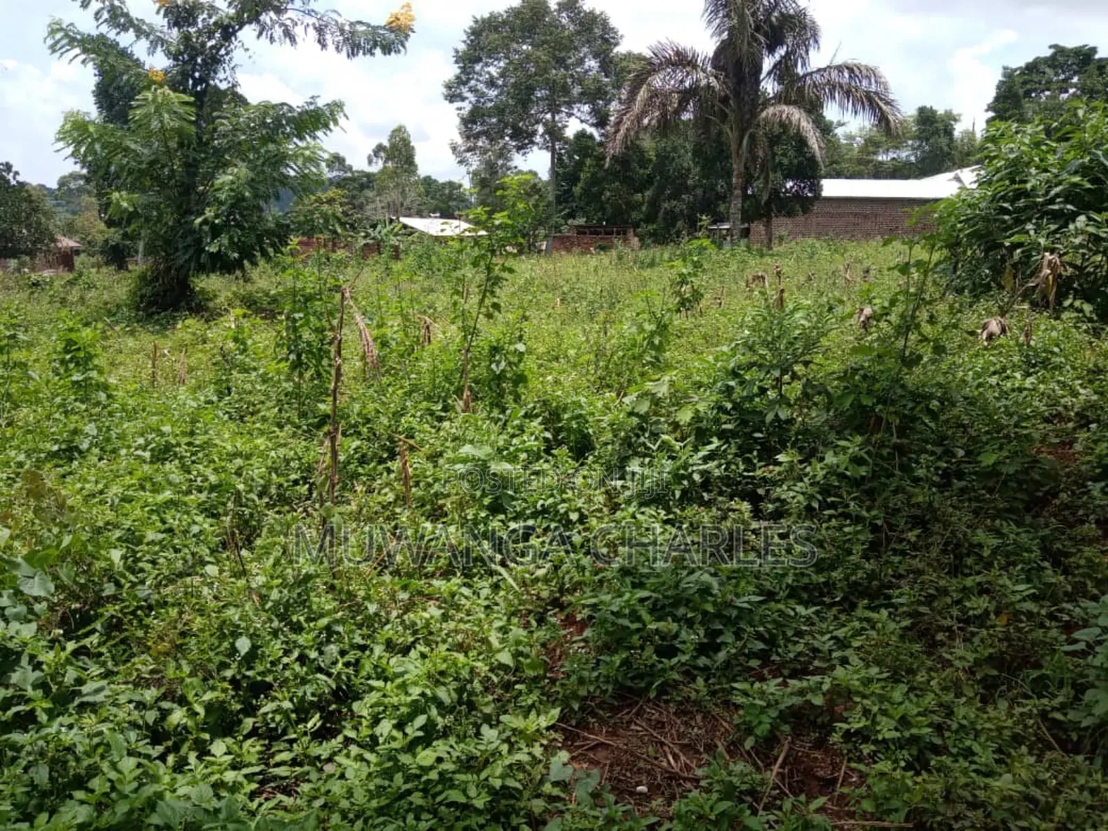 Plots on Sale in Matugga Kavule in Gombe