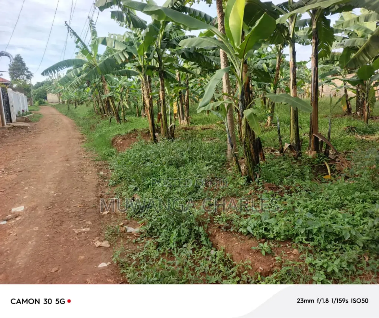 Plots on Sale in Nangabo Jiita in Nangabo