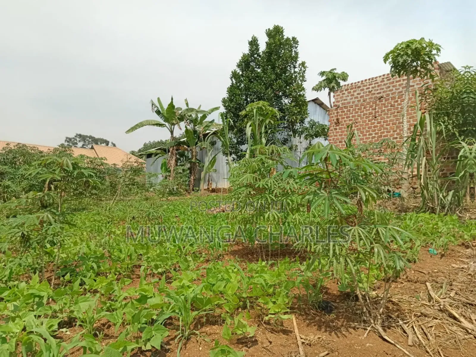 Plots on Sale in Matugga Kigogwa in Division B
