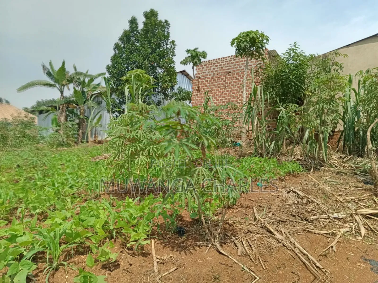 Plots on Sale in Matugga Kigogwa in Division B