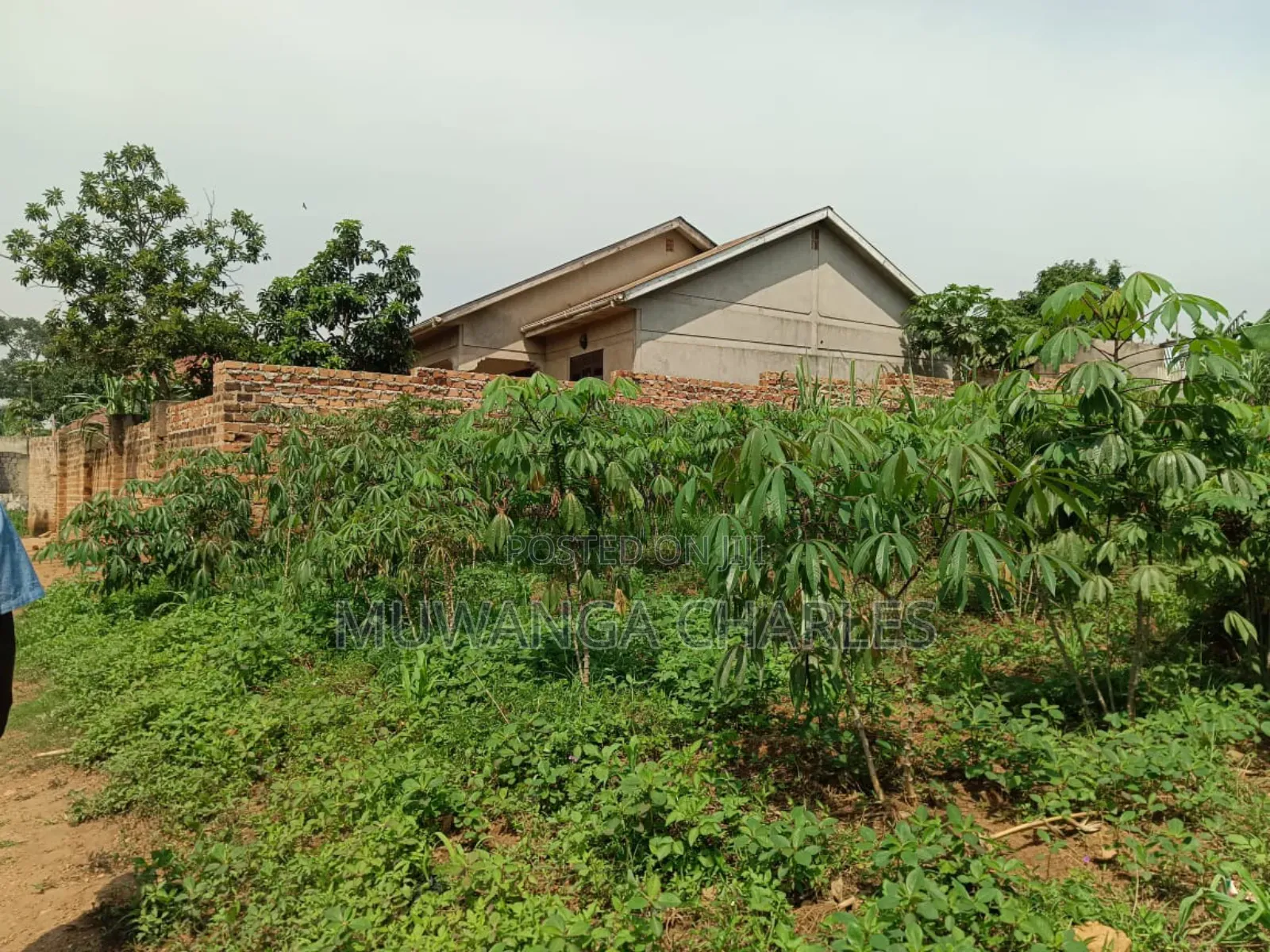 Plots on Sale in Matugga Kitungwa in Division B