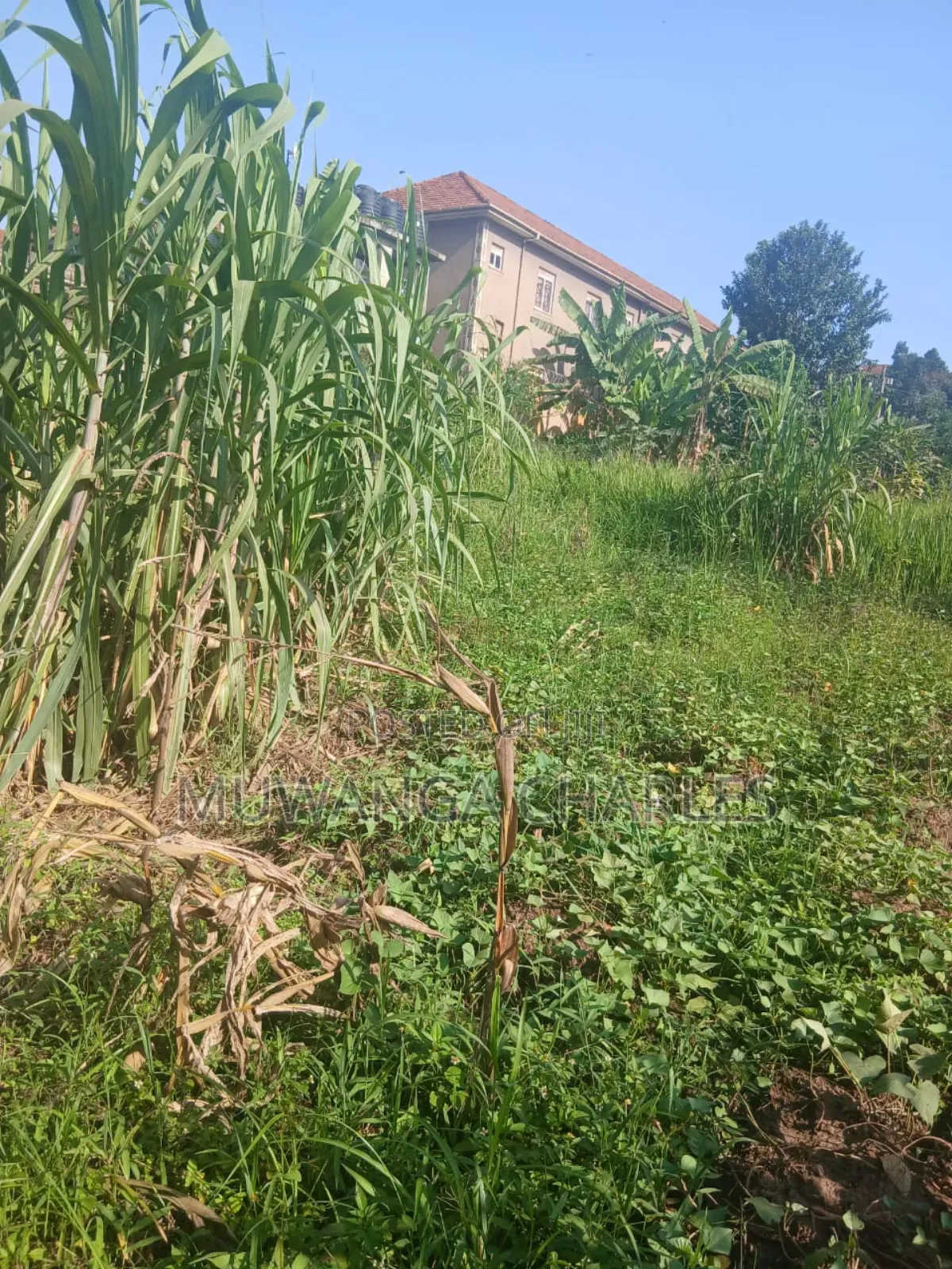 Plots on Sale in Gayaza Magere in Division B