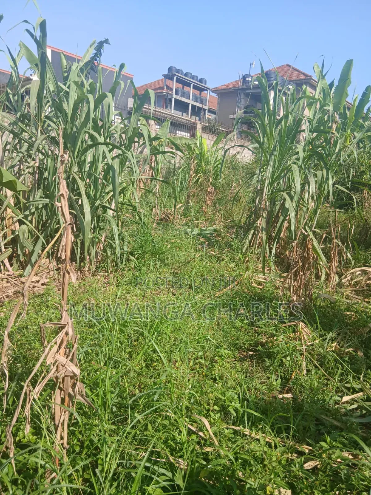 Plots on Sale in Gayaza Magere in Division B