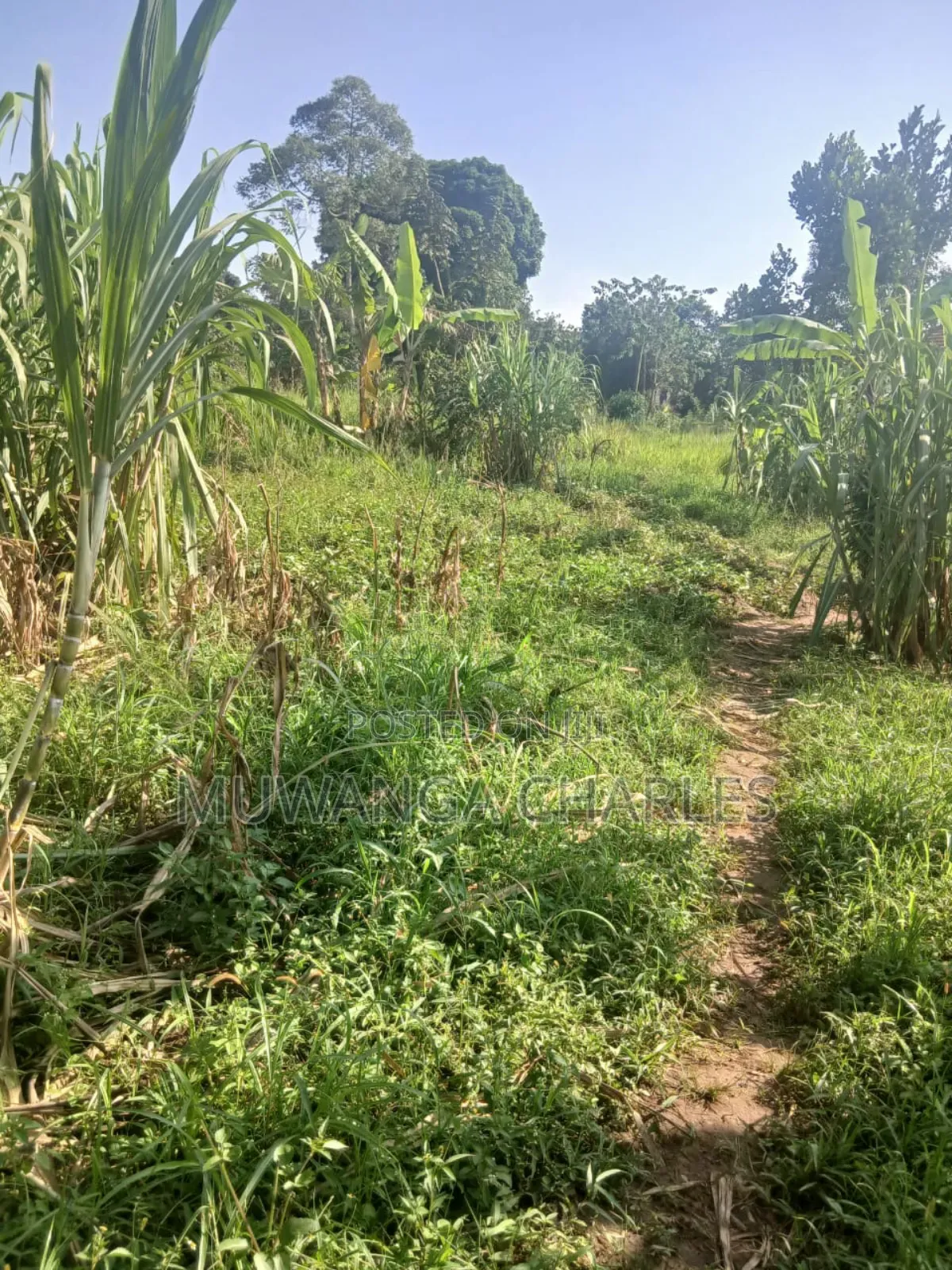 Plots on Sale in Gayaza Magere in Division B