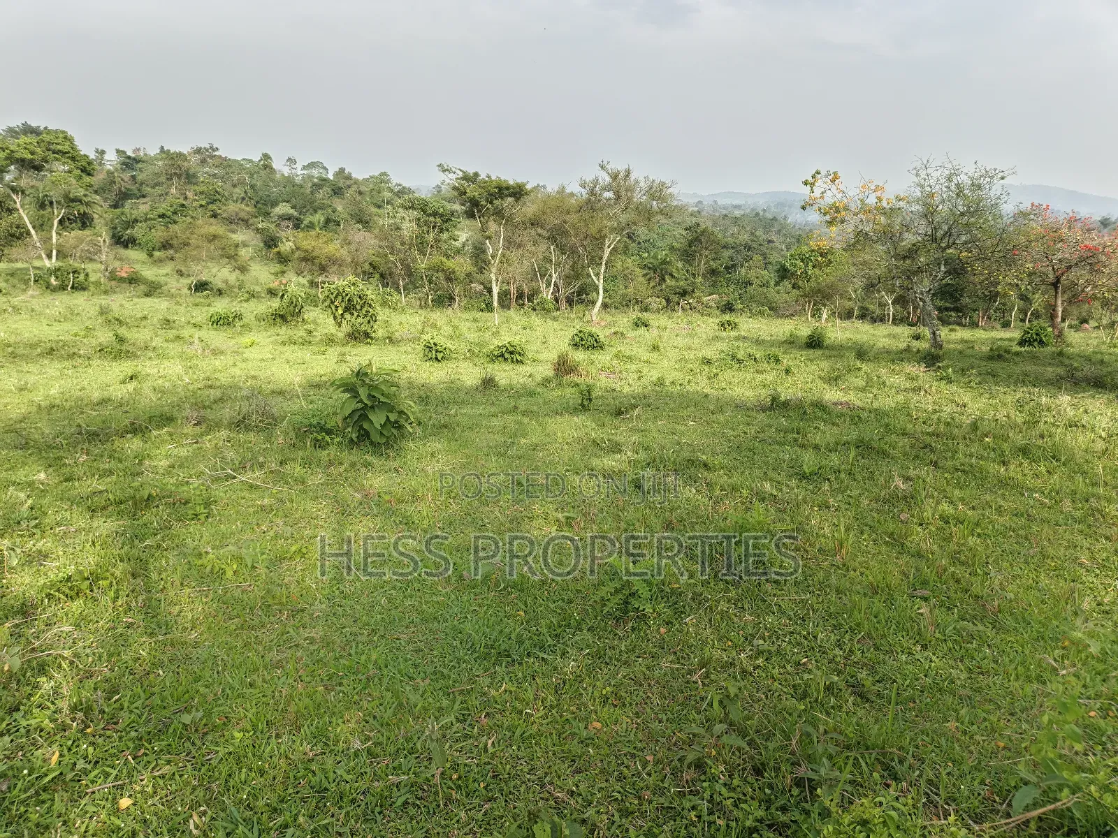 Farmland on Sale in Kyenjojo