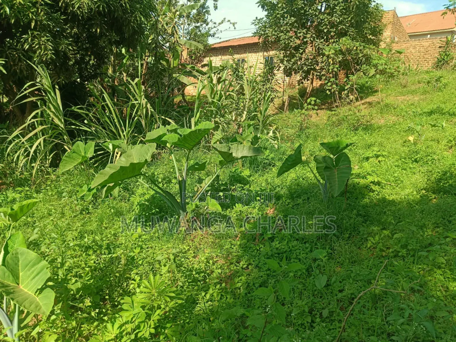 Plots on Sale in Namugongo Bukerere in Goma