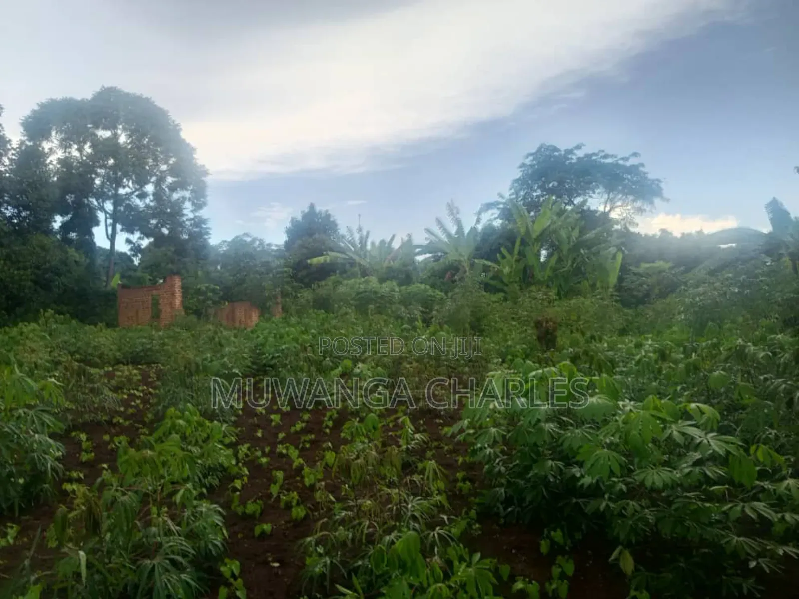 Plots on Sale Kiwenda Luuwunga in Division B