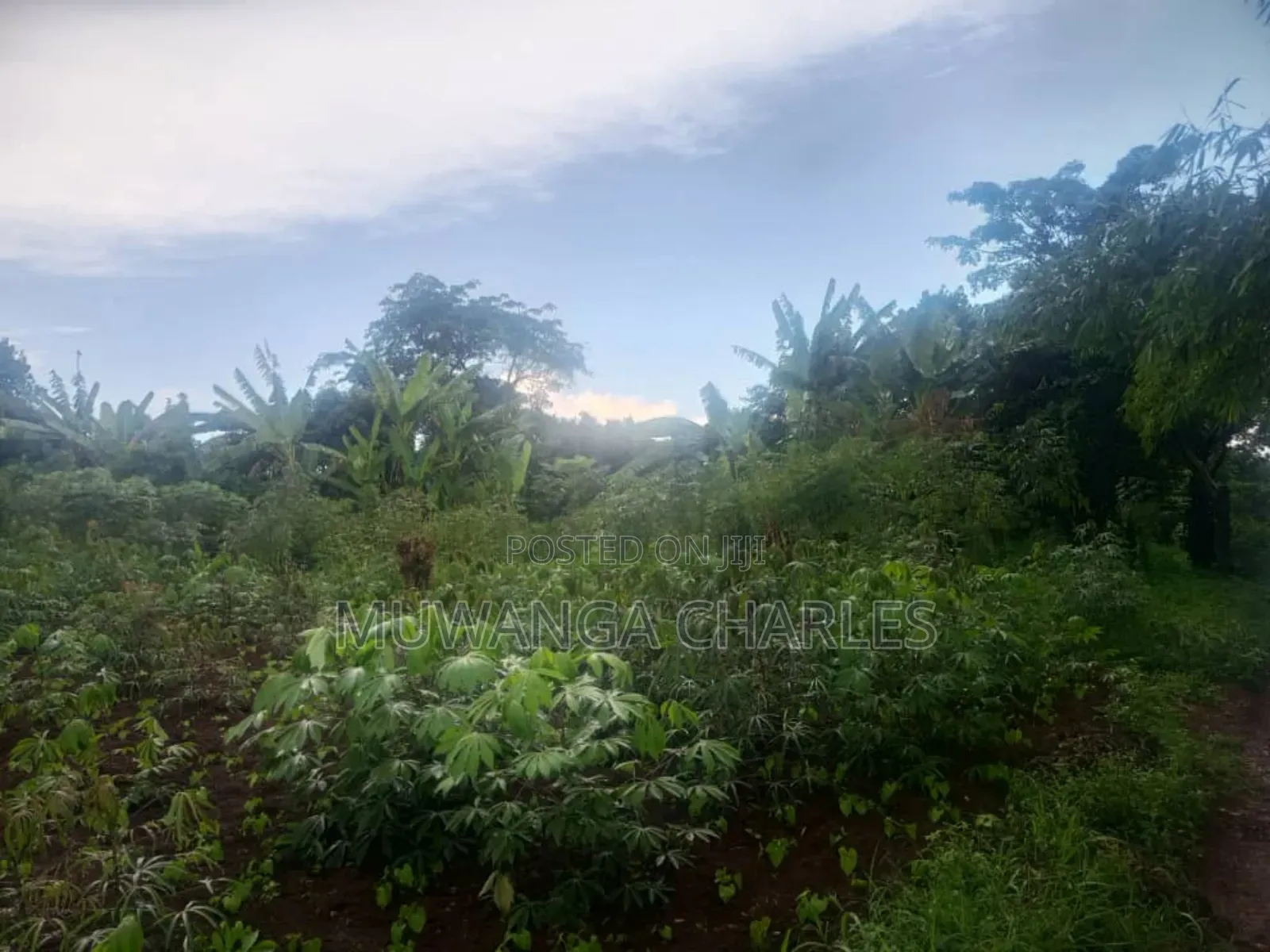 Plots on Sale Kiwenda Luuwunga in Division B