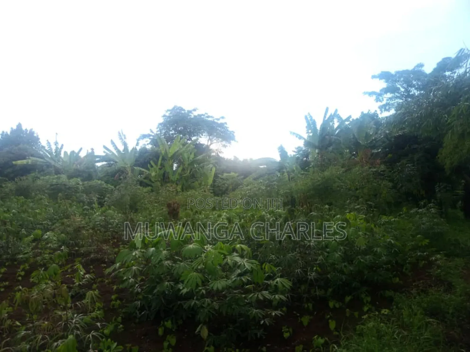 Plots on Sale Kiwenda Luuwunga in Division B