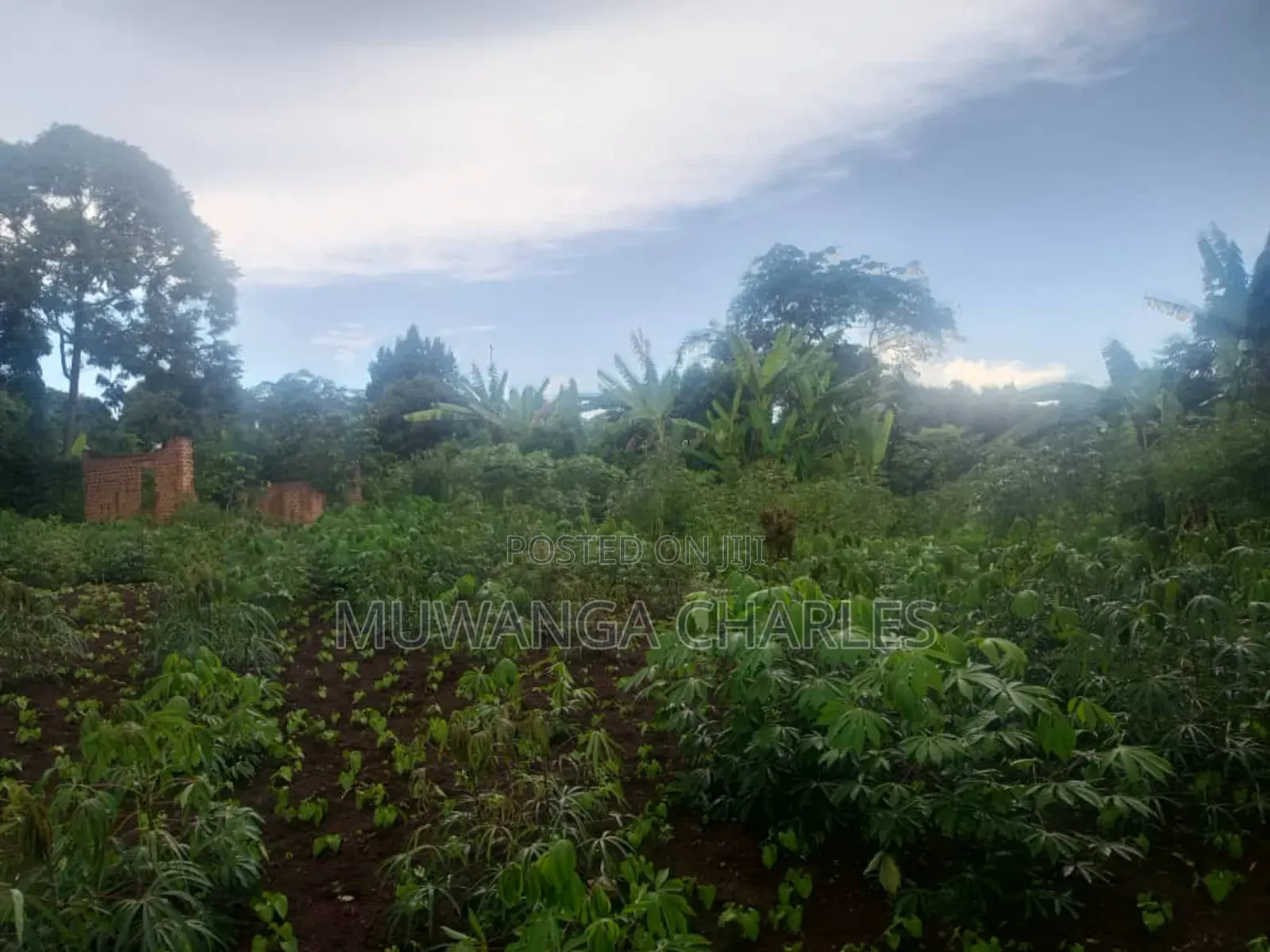 Plots on Sale Kiwenda Luuwunga in Division B