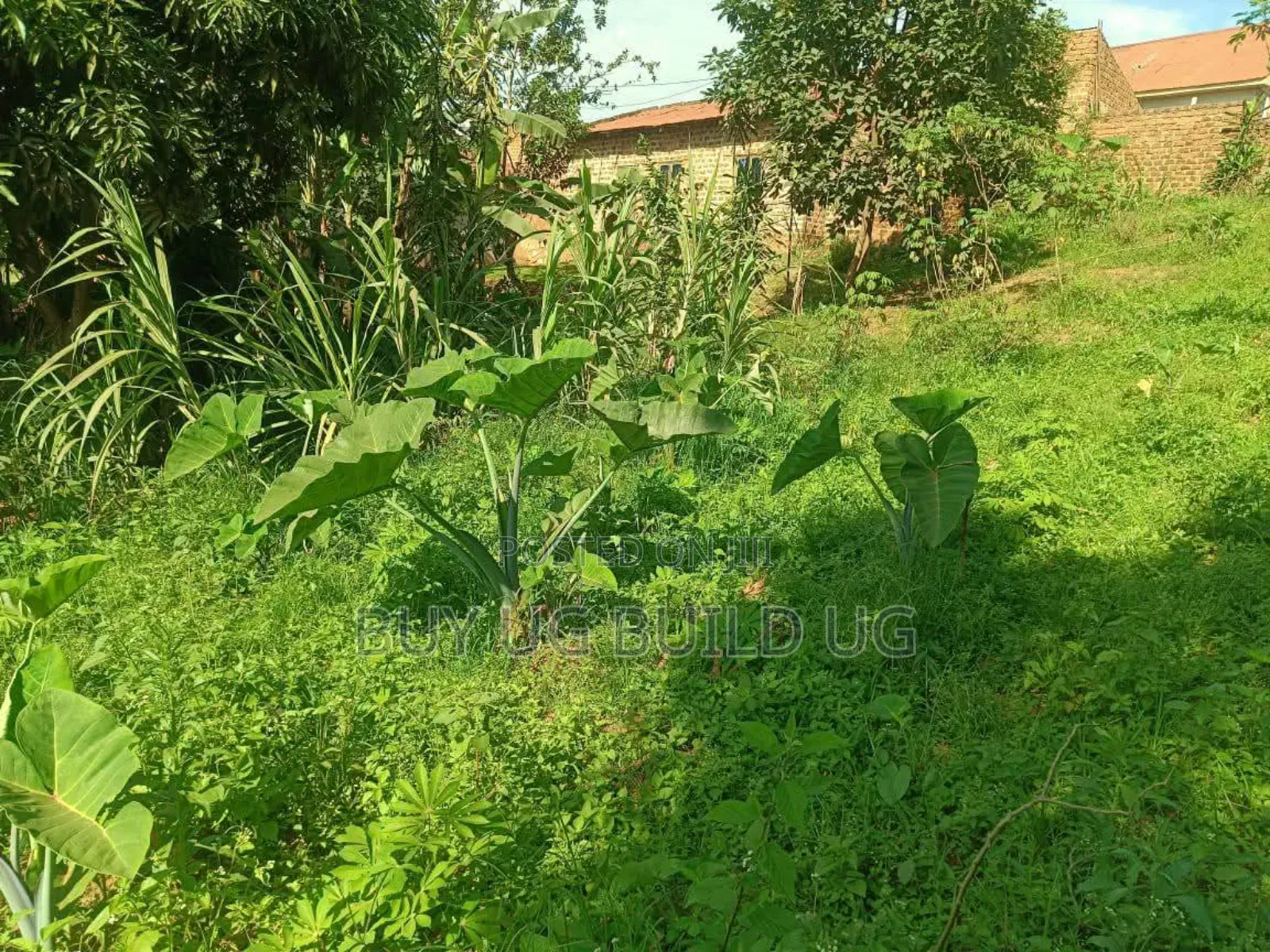3acres of Land for Sale at 35m Ugx Per Acre in Matuga Semuto Mawale in Central Division