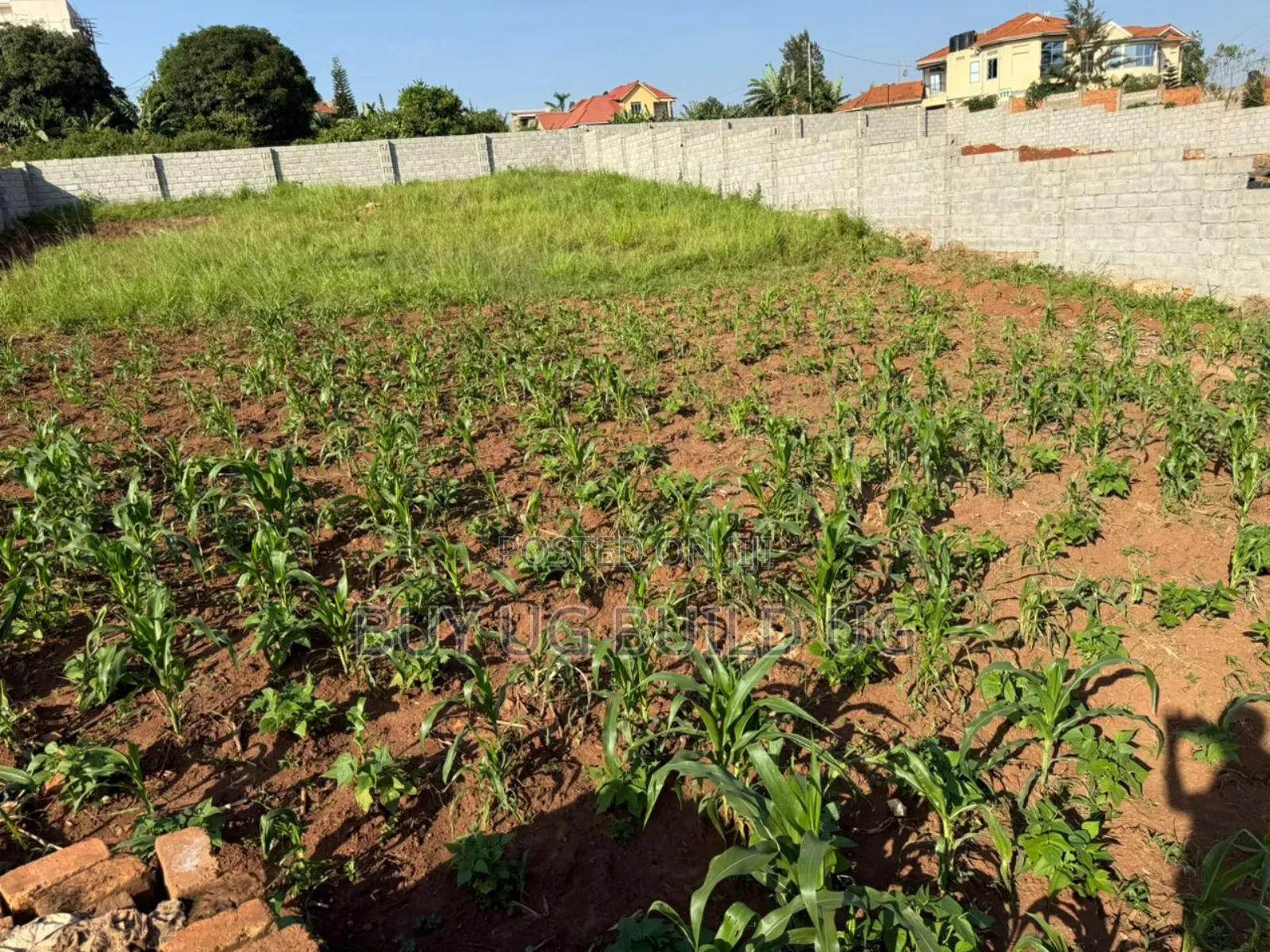 25 Decimals Fenced in Kira 280m Private Mailo Land Title in Central Division