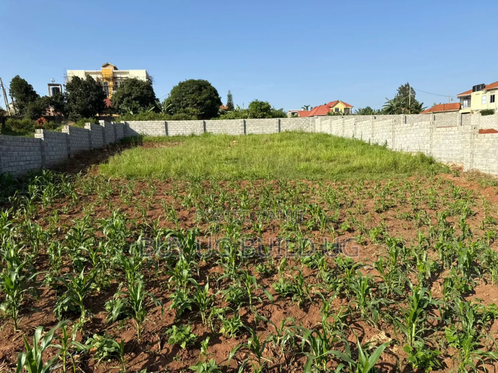 25 Decimals Fenced in Kira 280m Private Mailo Land Title in Central Division
