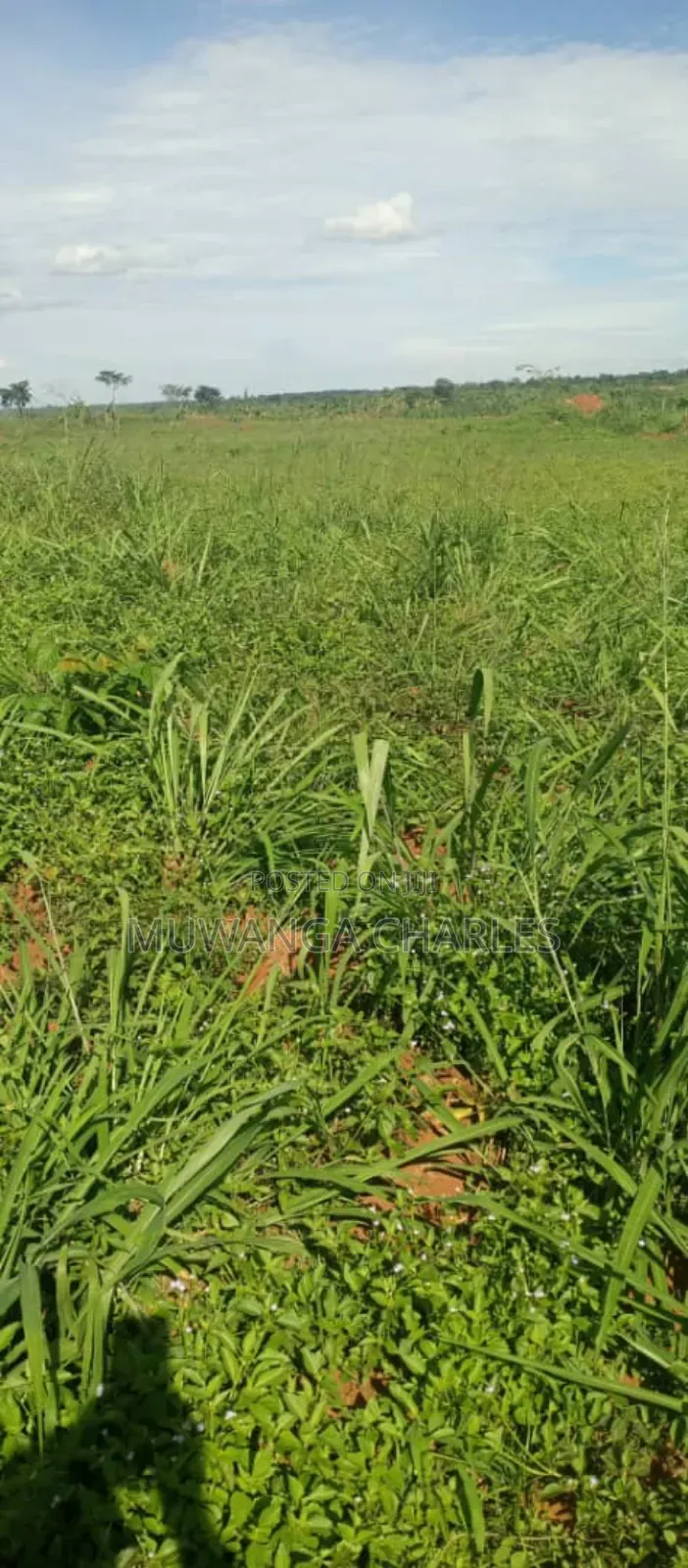 Land on Sale in Nakasongola 1 in Central Division