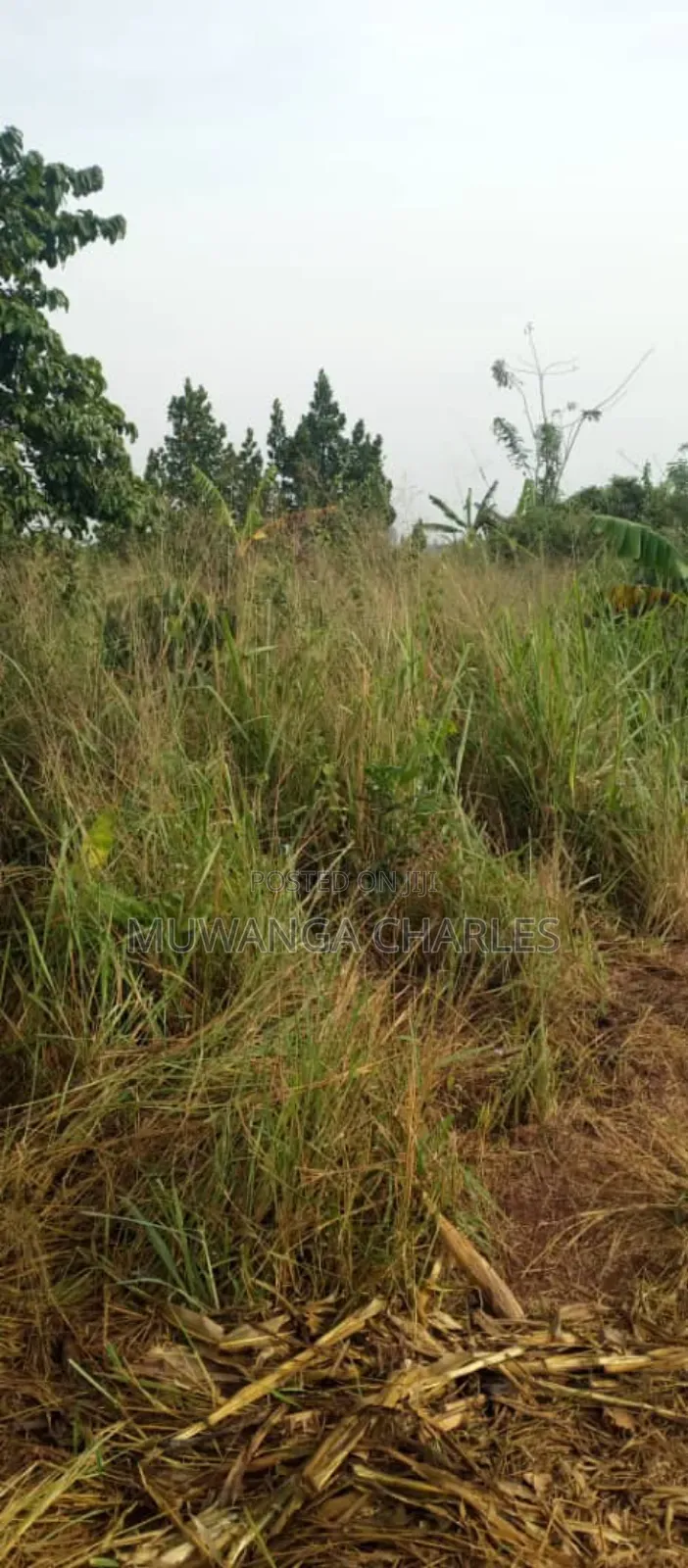 Land on Sale in Nakasongola 1 in Central Division