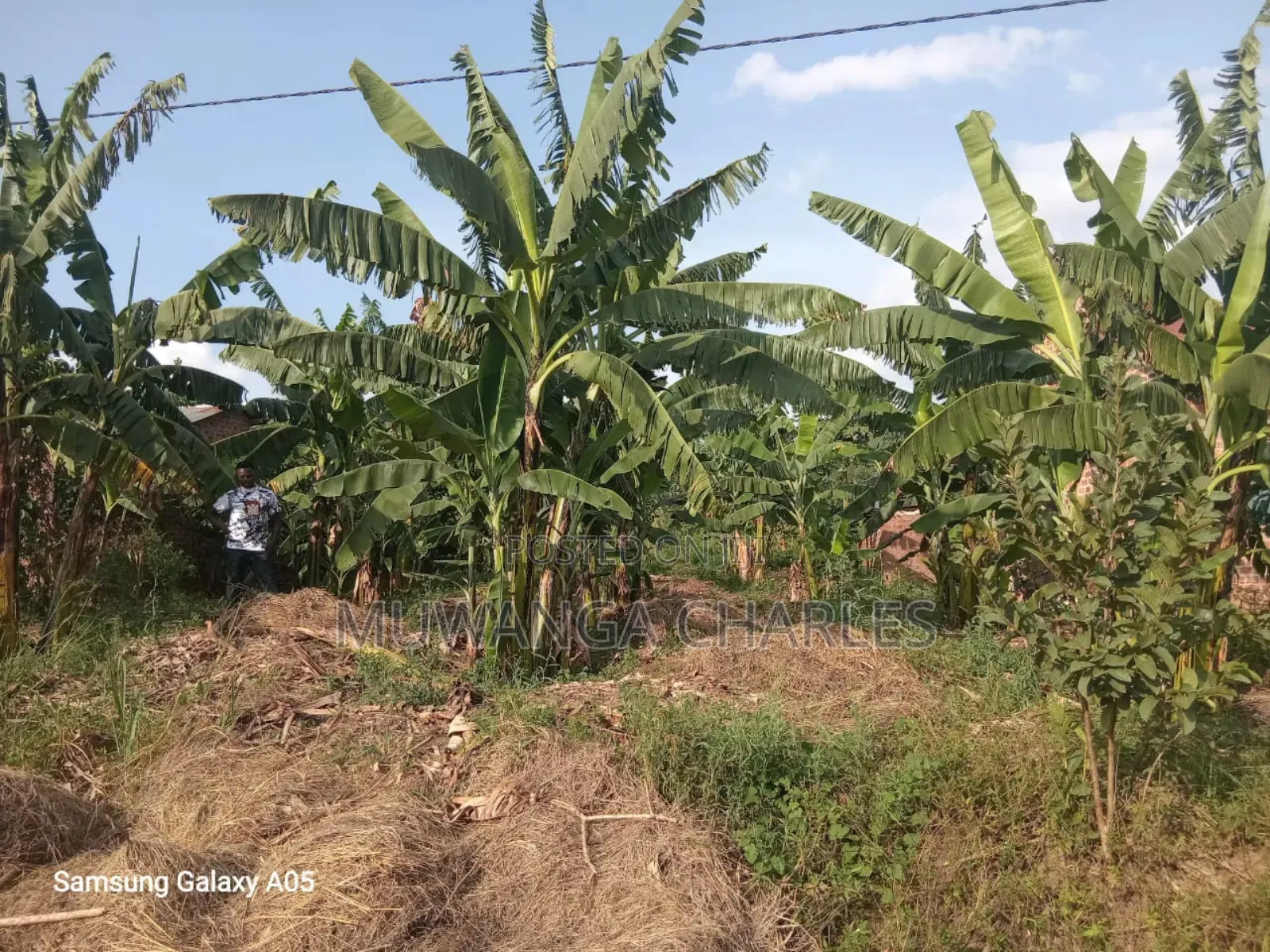 Land on Sale in Zirobwe Phase 4 in Luwero / Luwero