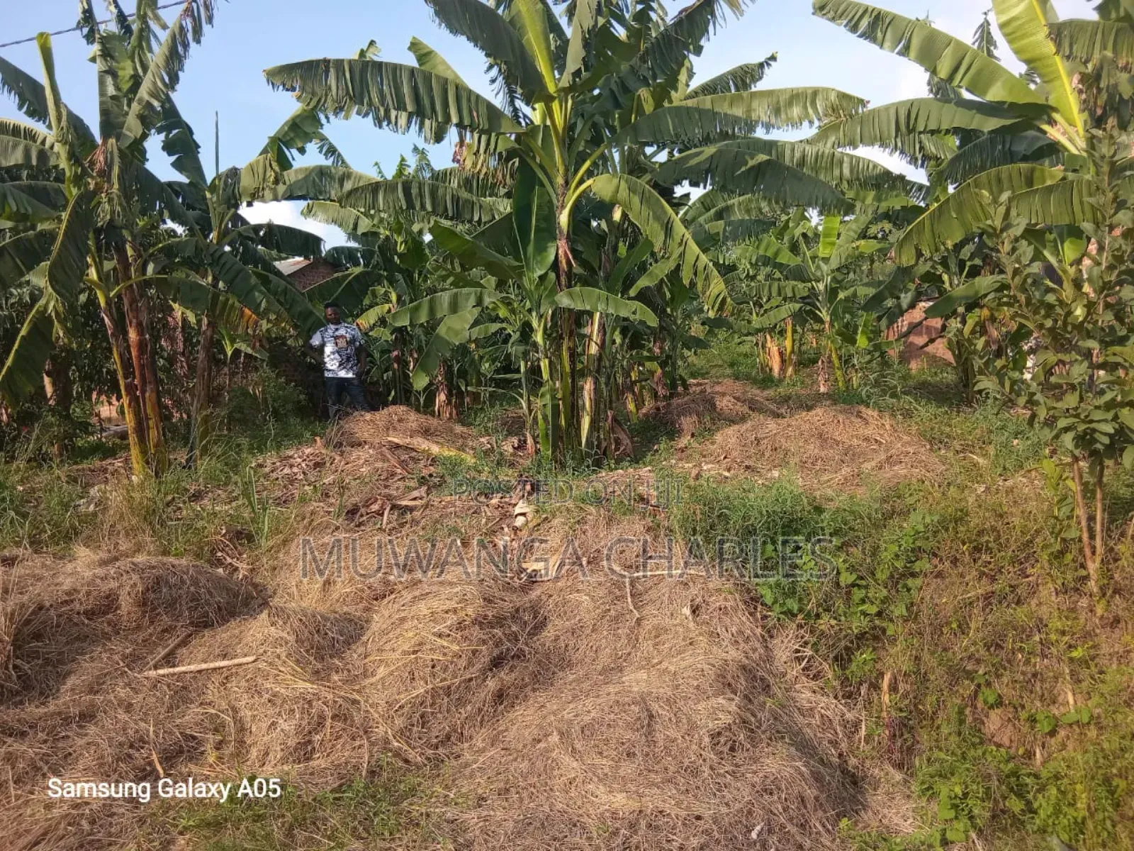 Land on Sale in Zirobwe Phase 4 in Luwero / Luwero