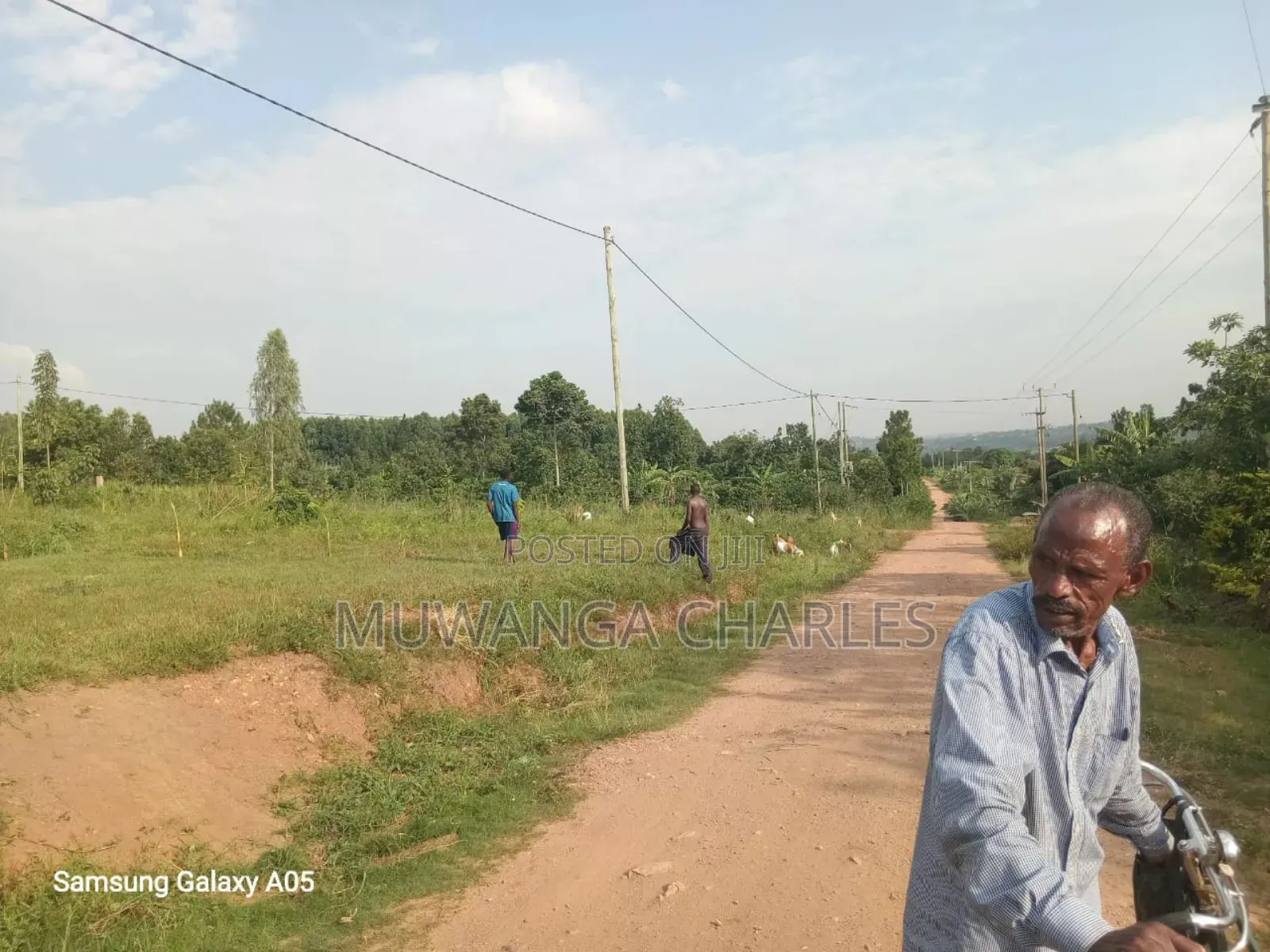 Land on Sale in Zirobwe Phase 4 in Luwero / Luwero