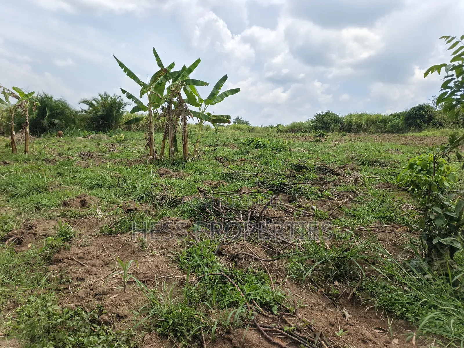 13acres of Agricultural Land on Sale in Kyenjojo