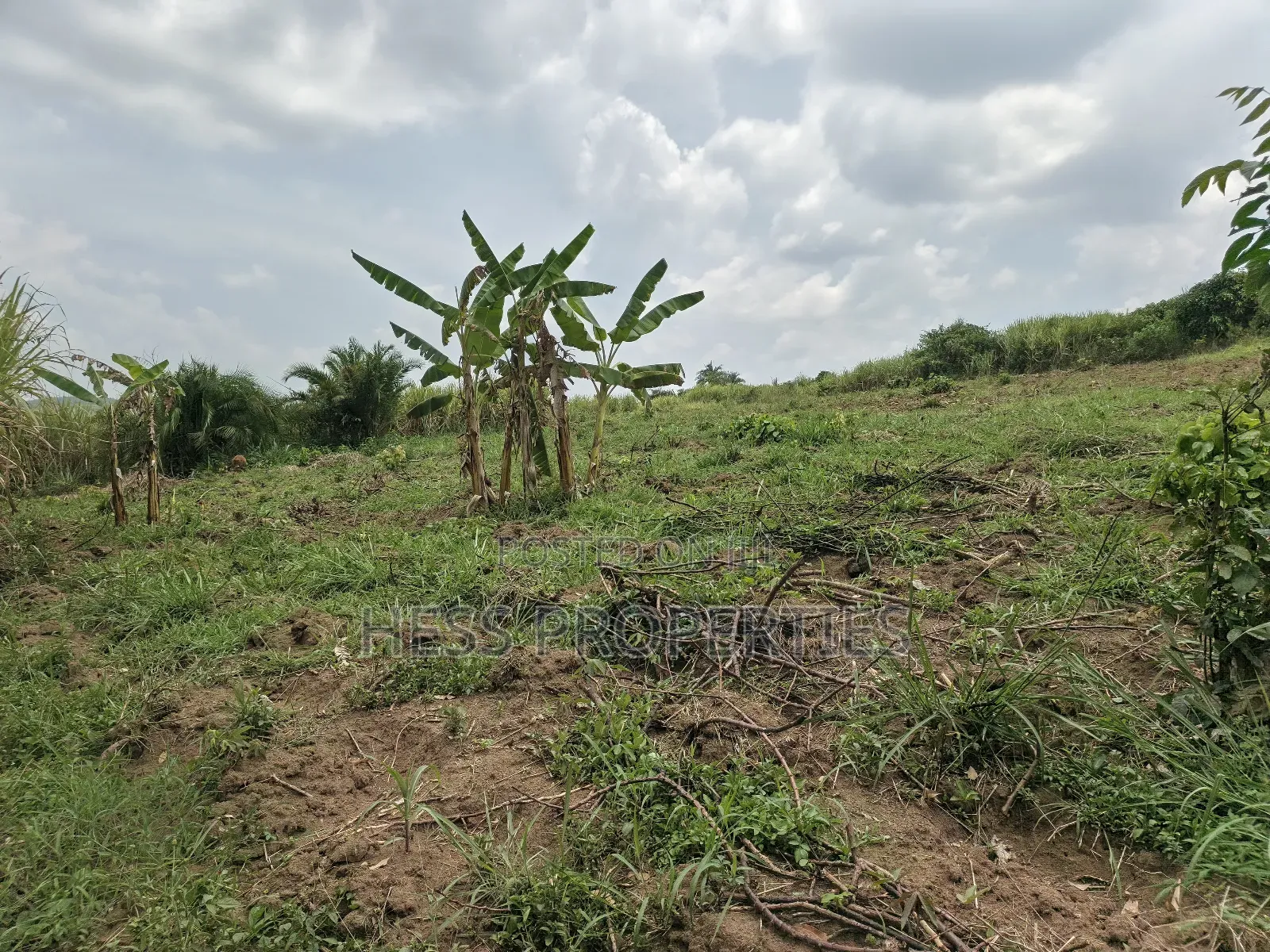 13acres of Agricultural Land on Sale in Kyenjojo