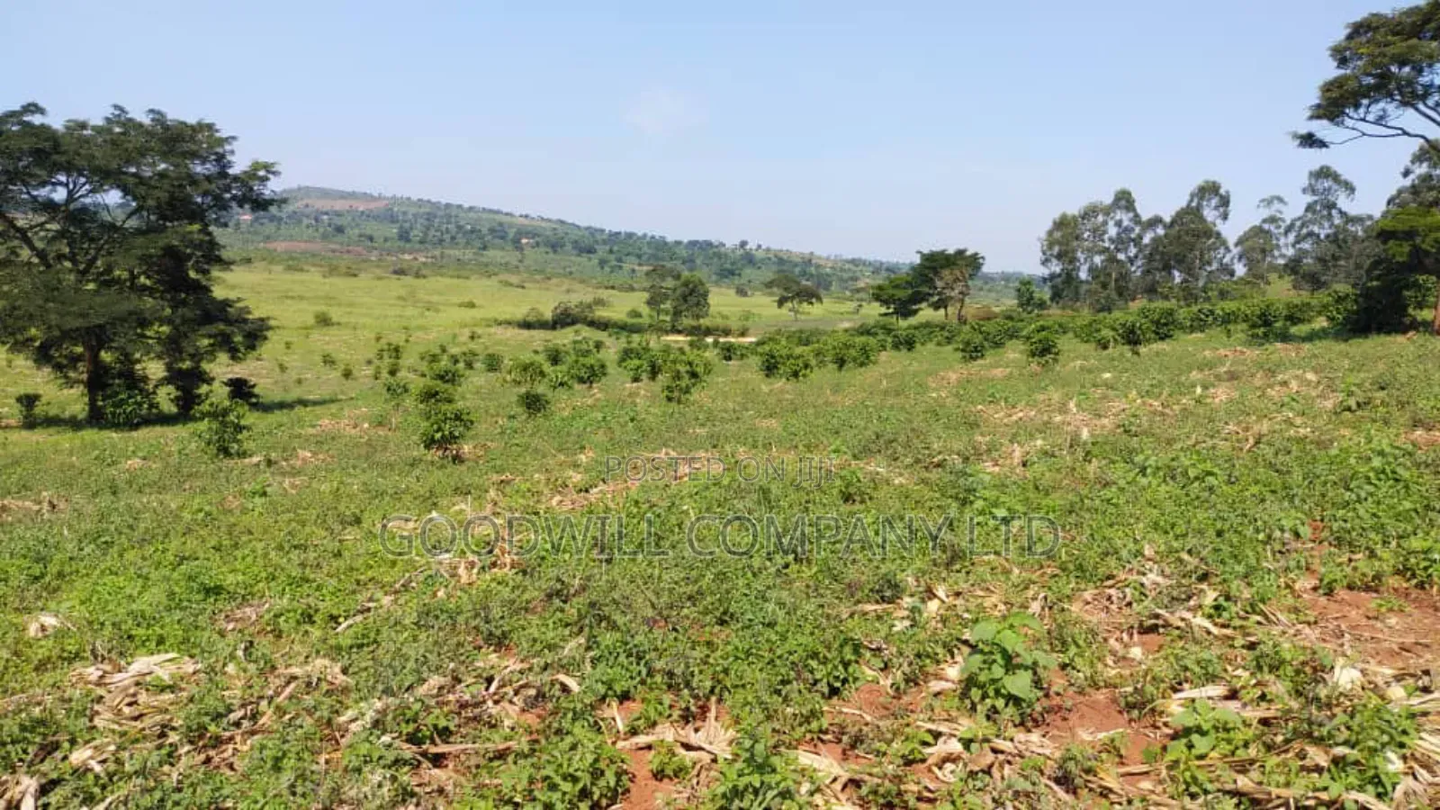 14 Acres of Land in Busunju Hoima Road in Central Division