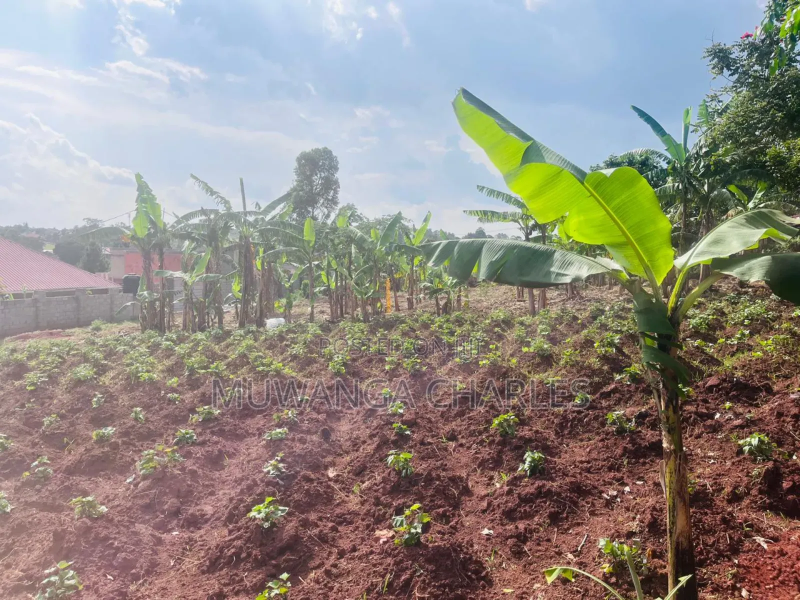 Plots on Sale in Seeta Magere in Division A