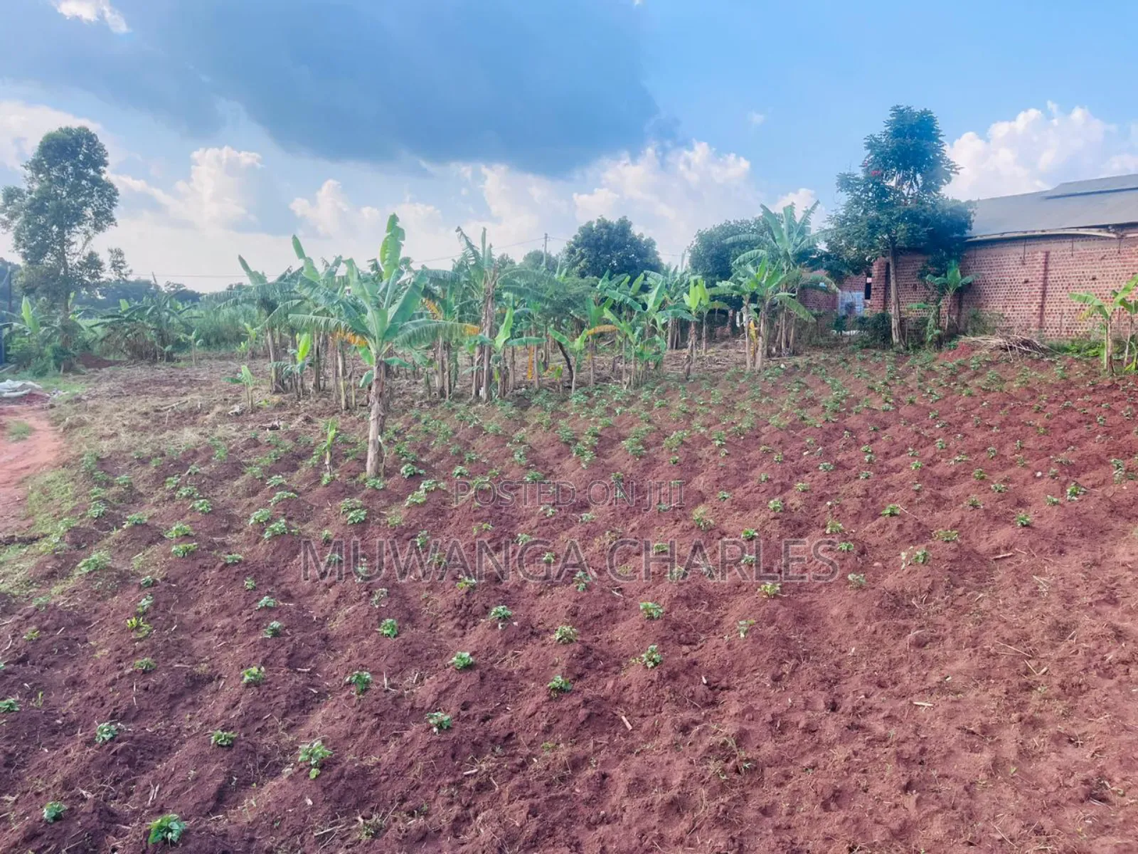 Plots on Sale in Seeta Magere in Division A