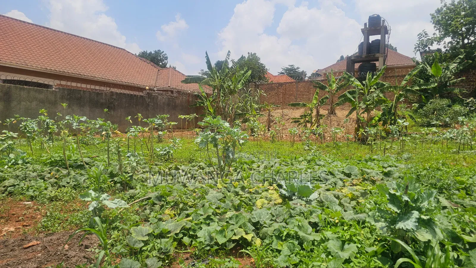 Plot on Sale in Kisaasi Near Mariam High in Nakawa