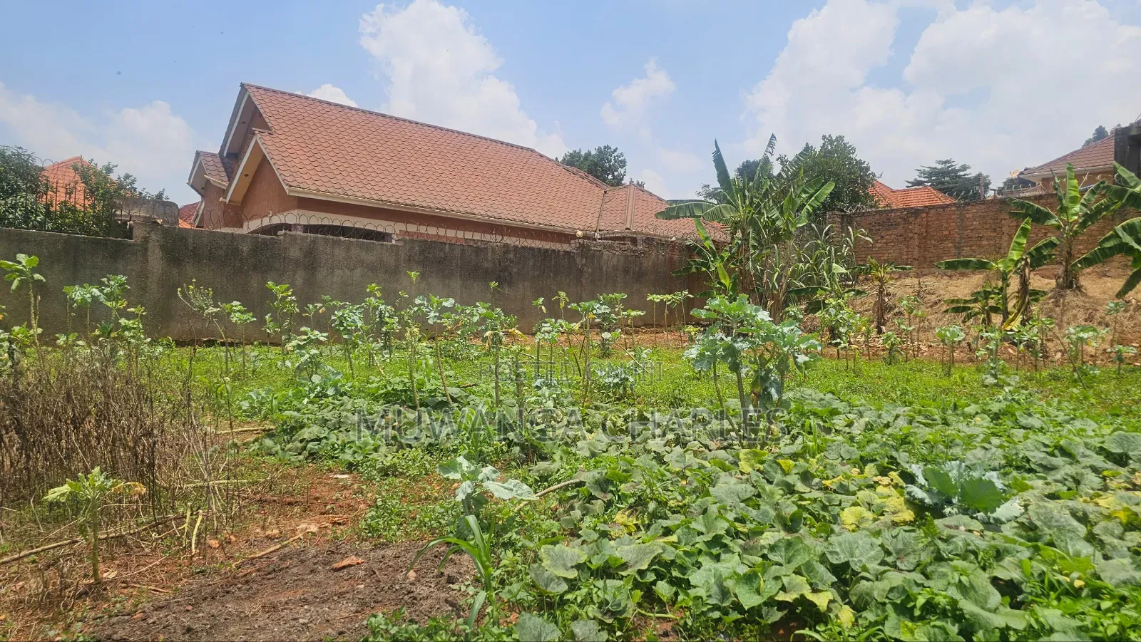 Plot on Sale in Kisaasi Near Mariam High in Nakawa