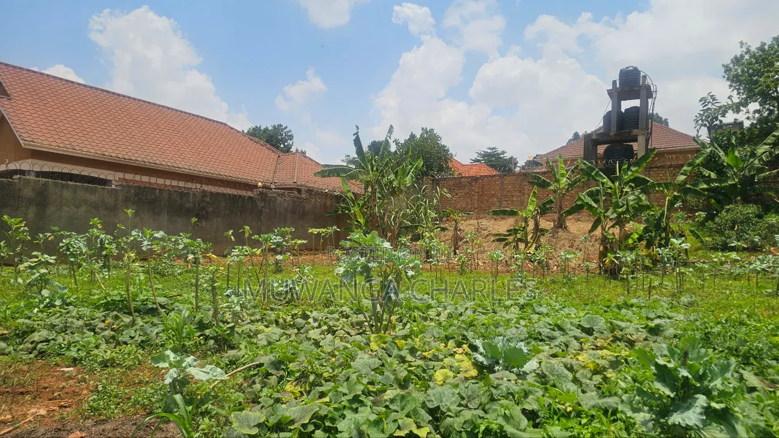 Plot on Sale in Kisaasi Near Mariam High in Nakawa