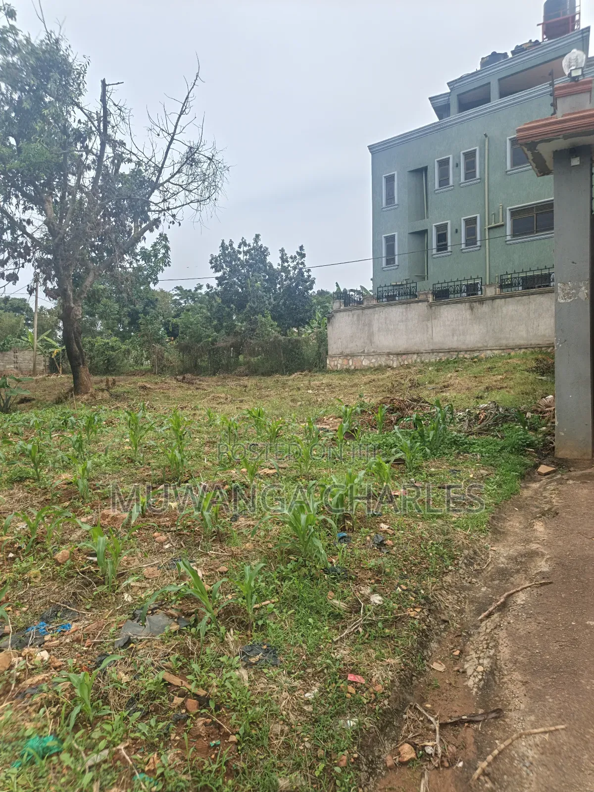 Plot on Sale in Kyanja Ring Road in Nakawa