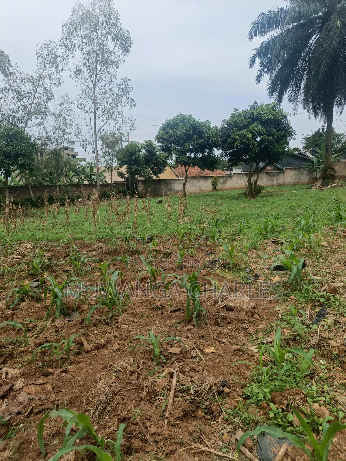 Plot on Sale in Kyanja Ring Road in Nakawa