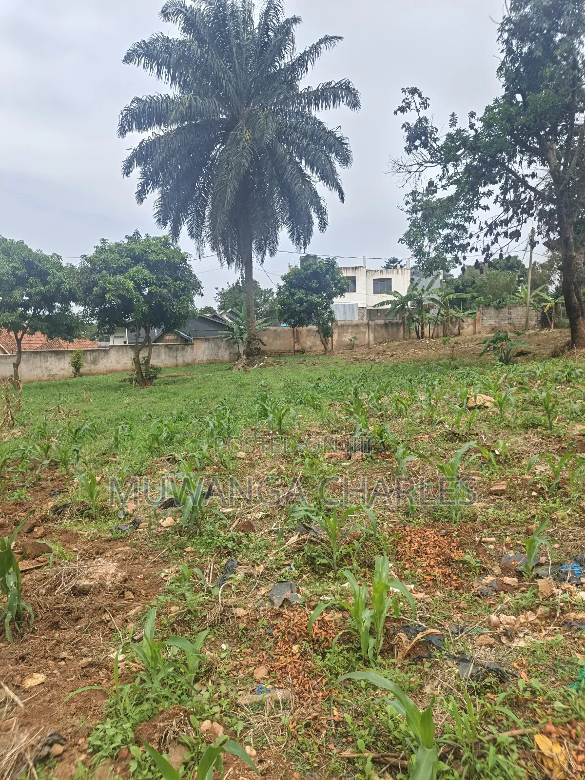 Plot on Sale in Kyanja Ring Road in Nakawa